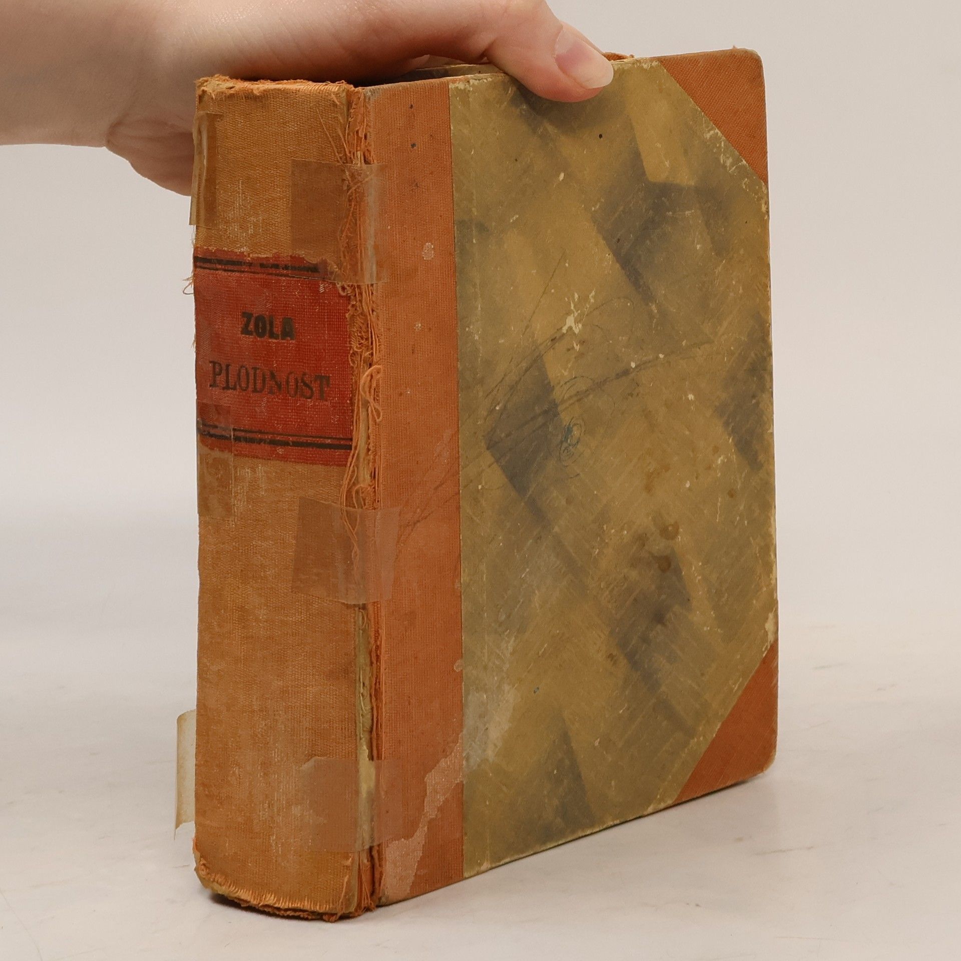 Émile Zola Plodnost