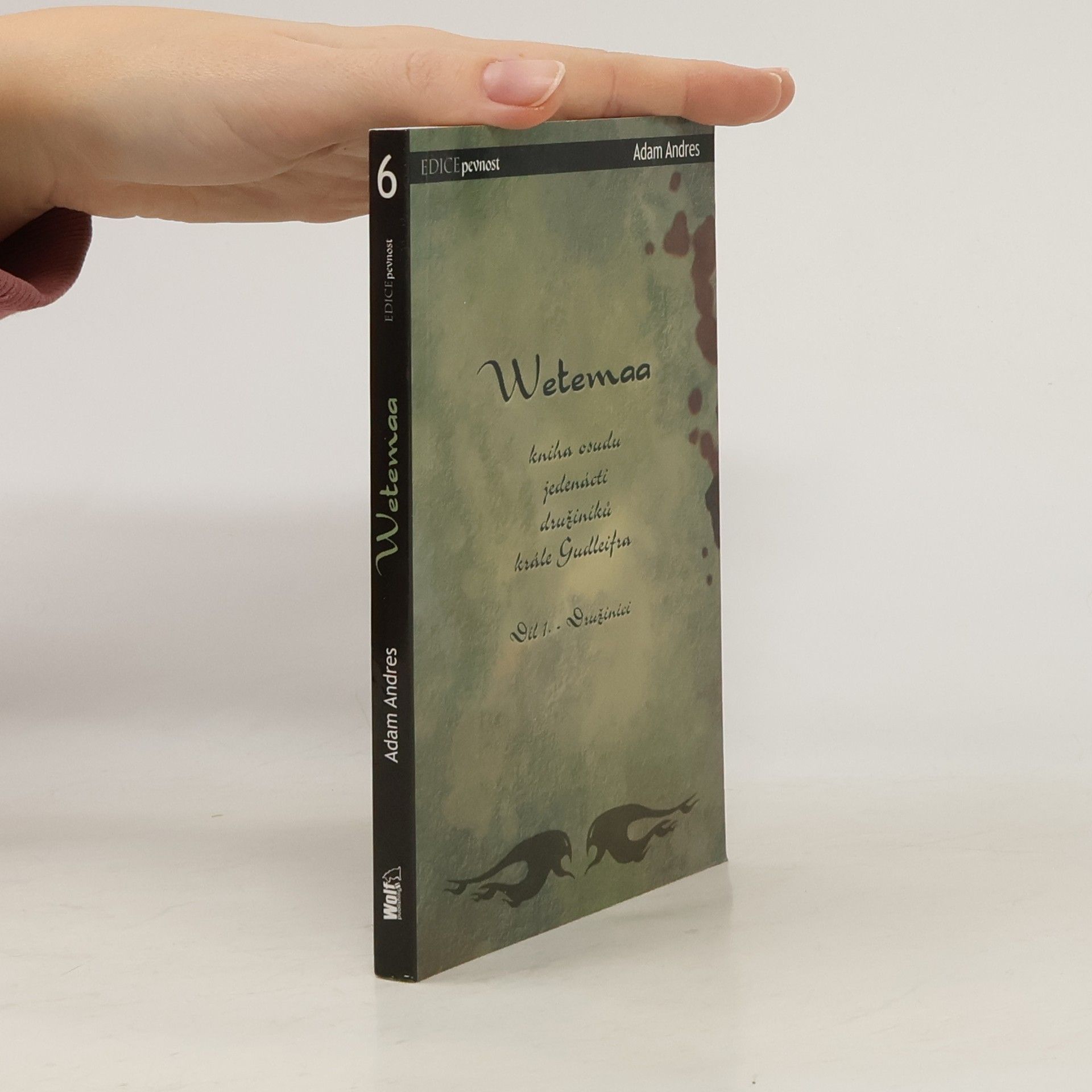 Veronika Válková Wetemaa. Kniha osudu jedenácti družiníků krále Gudleifra. Díl 1. Družiníci