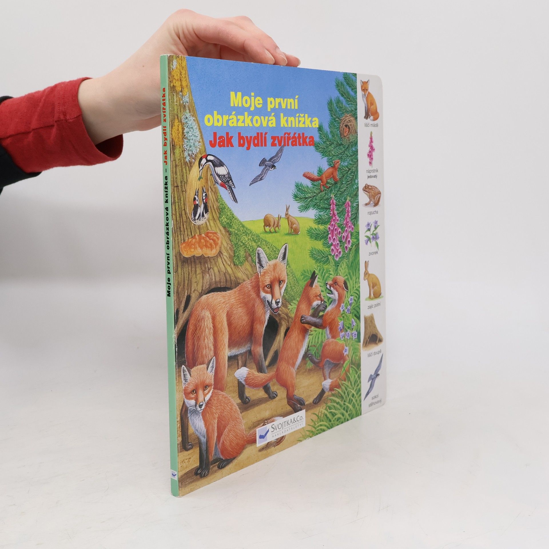 Dagmar Steidlová Moje první obrázková knížka: Jak bydlí zvířátka