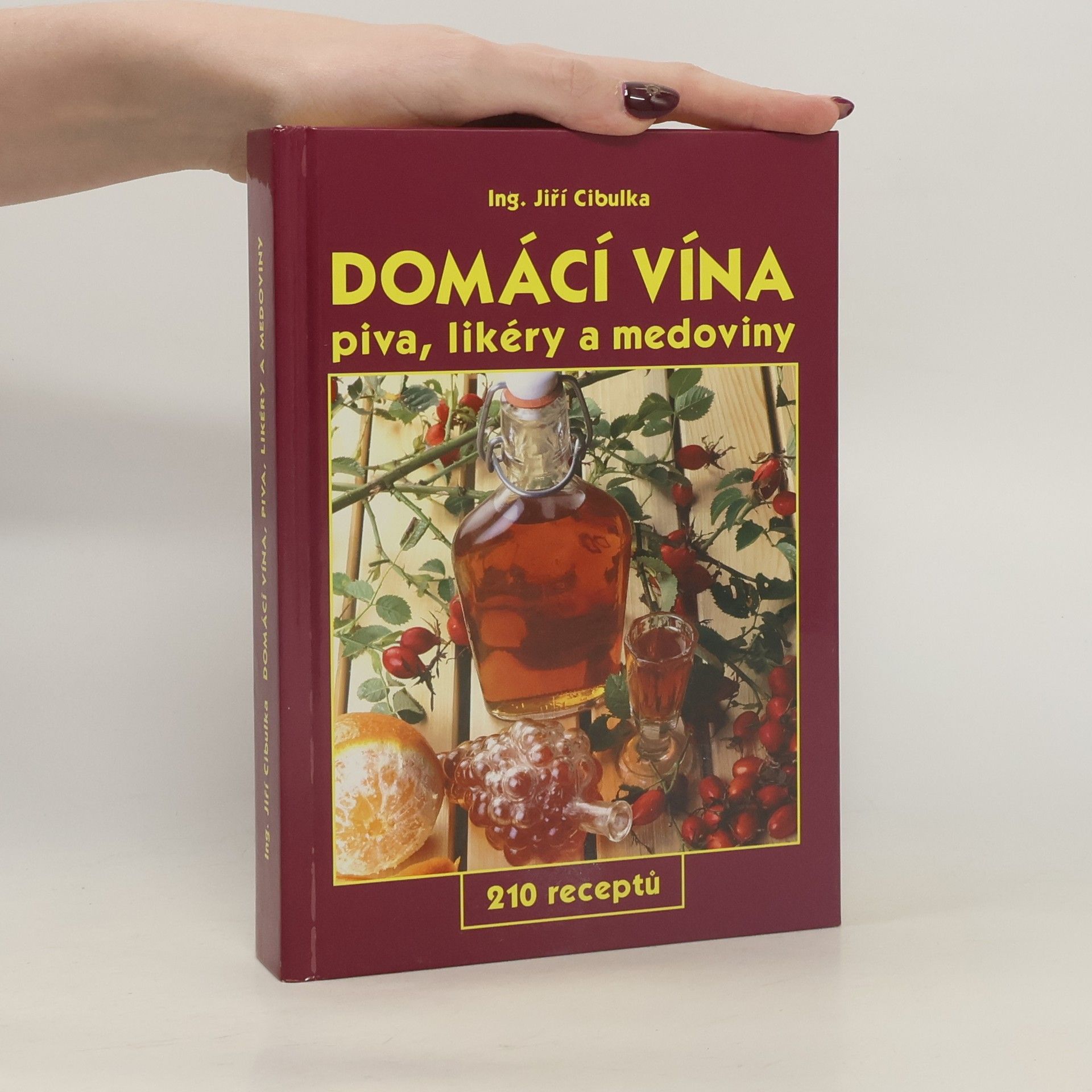 Jiří Cibulka Domácí vína: Piva, likéry a medoviny