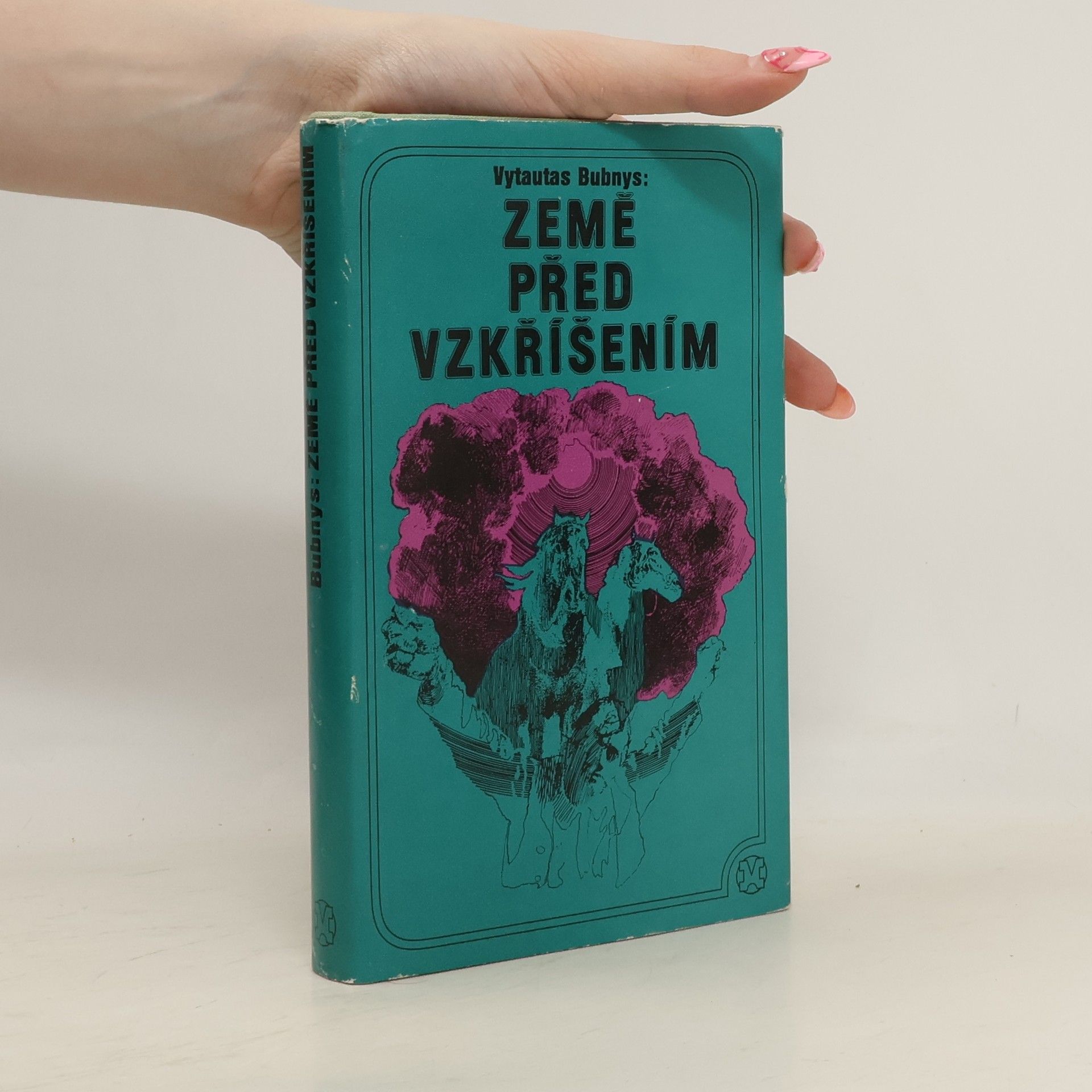 Vytautas Bubnys Země před vzkříšením