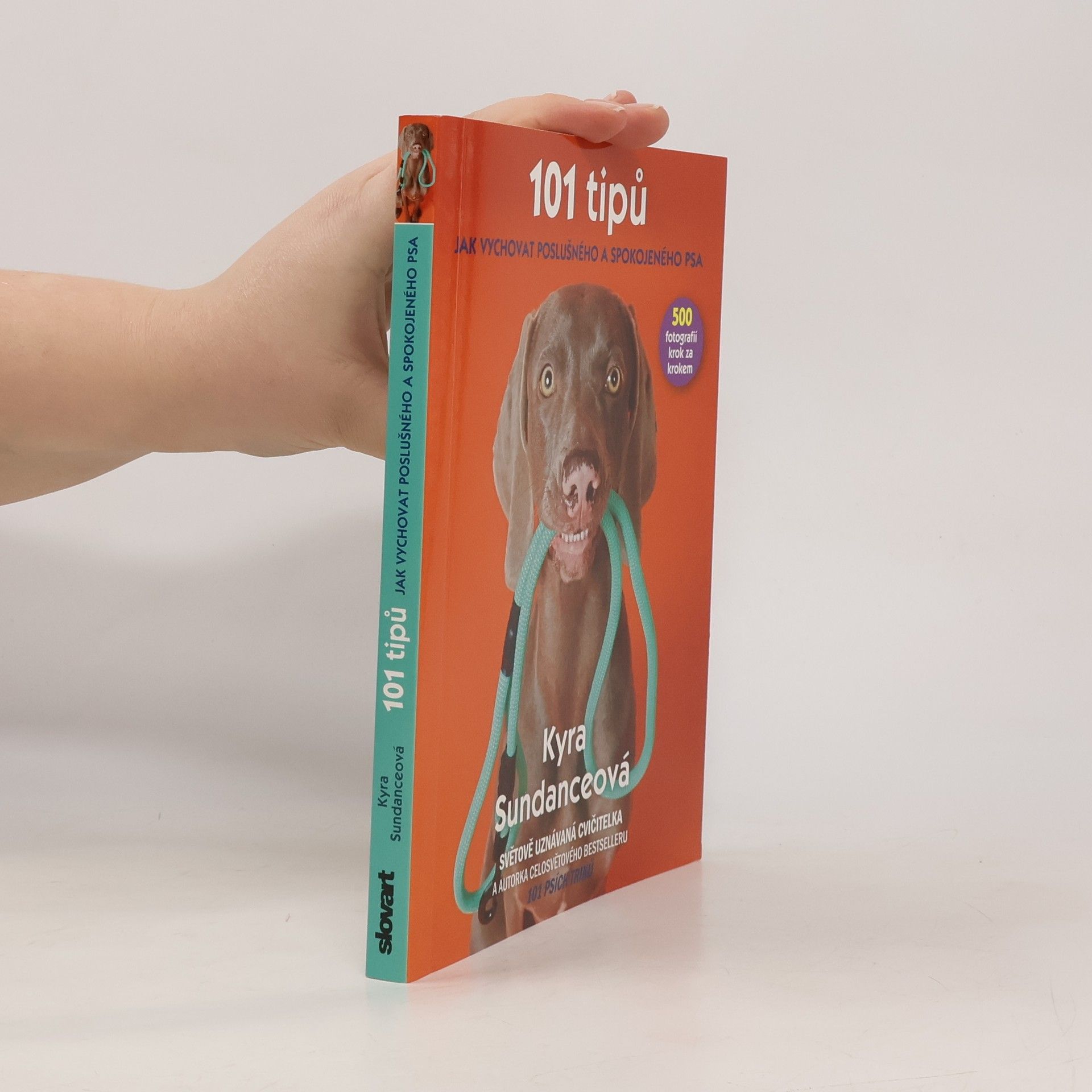 Kyra Sundance 101 tipů jak vychovat poslušného a spokojeného psa