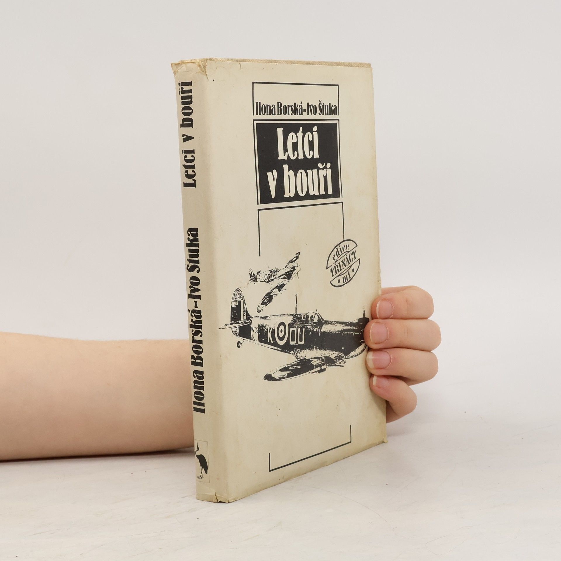 Ivo Štuka Letci v bouři