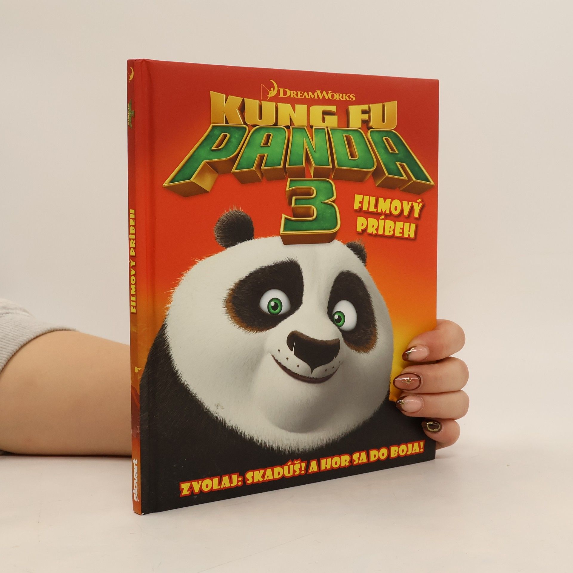 Autorenkollektiv Kung Fu Panda 3