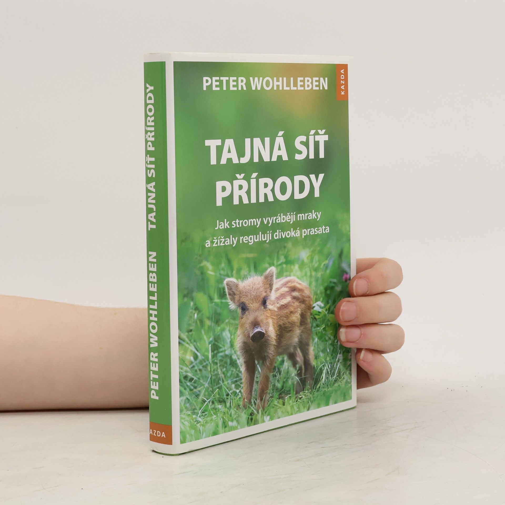 Peter Wohlleben Tajná síť přírody: Jak stromy vyrábějí mraky a žížaly regulují divoká prasata