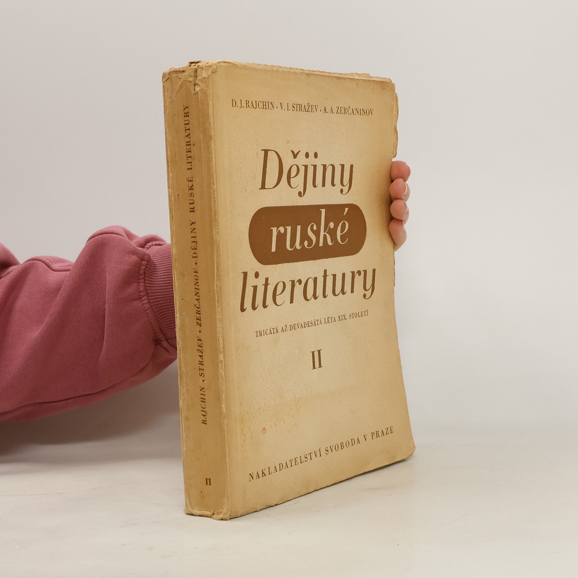 D.J. Rajchin Dějiny ruské literatury II.díl