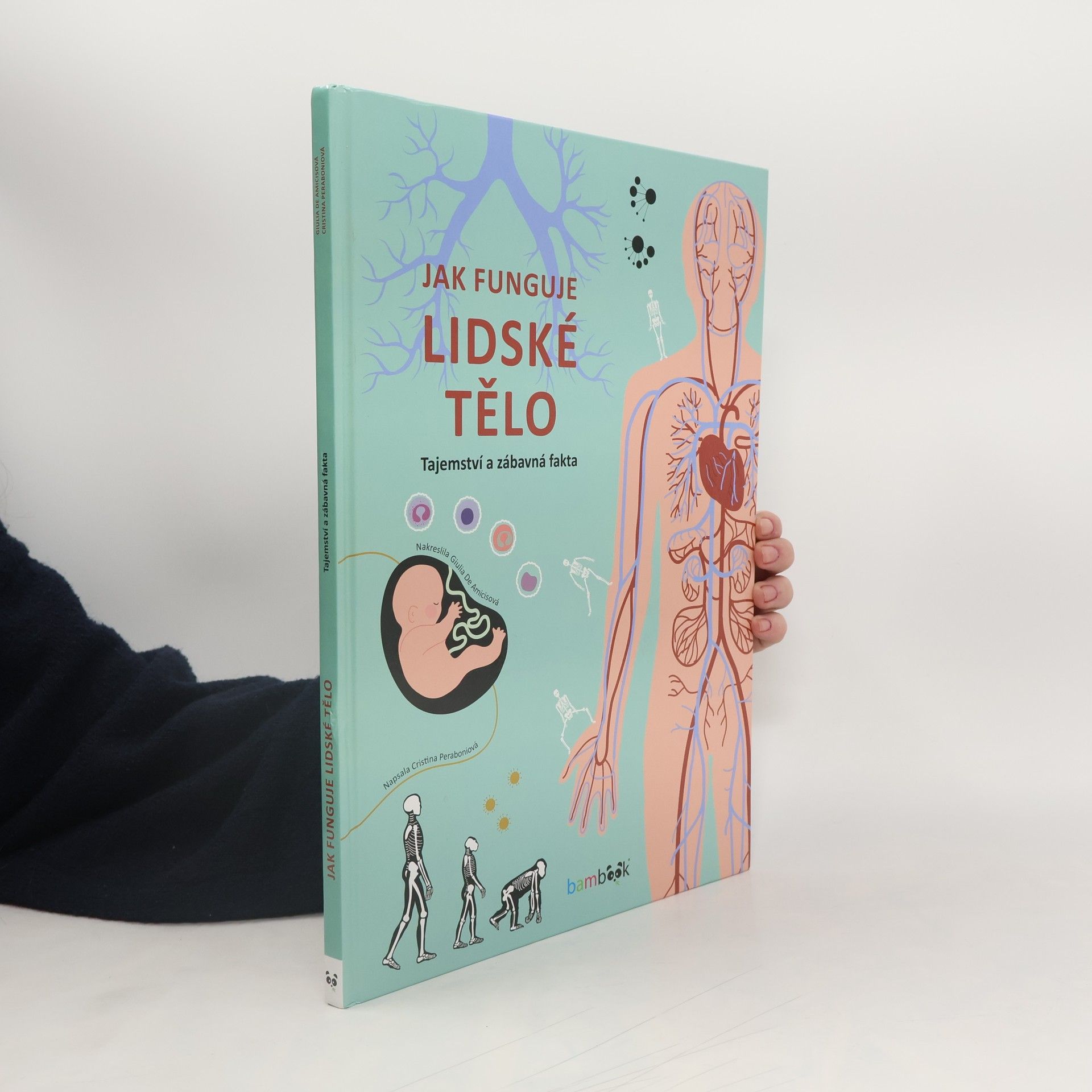 Jak funguje lidské tělo - Tajemství a zábavná fakta