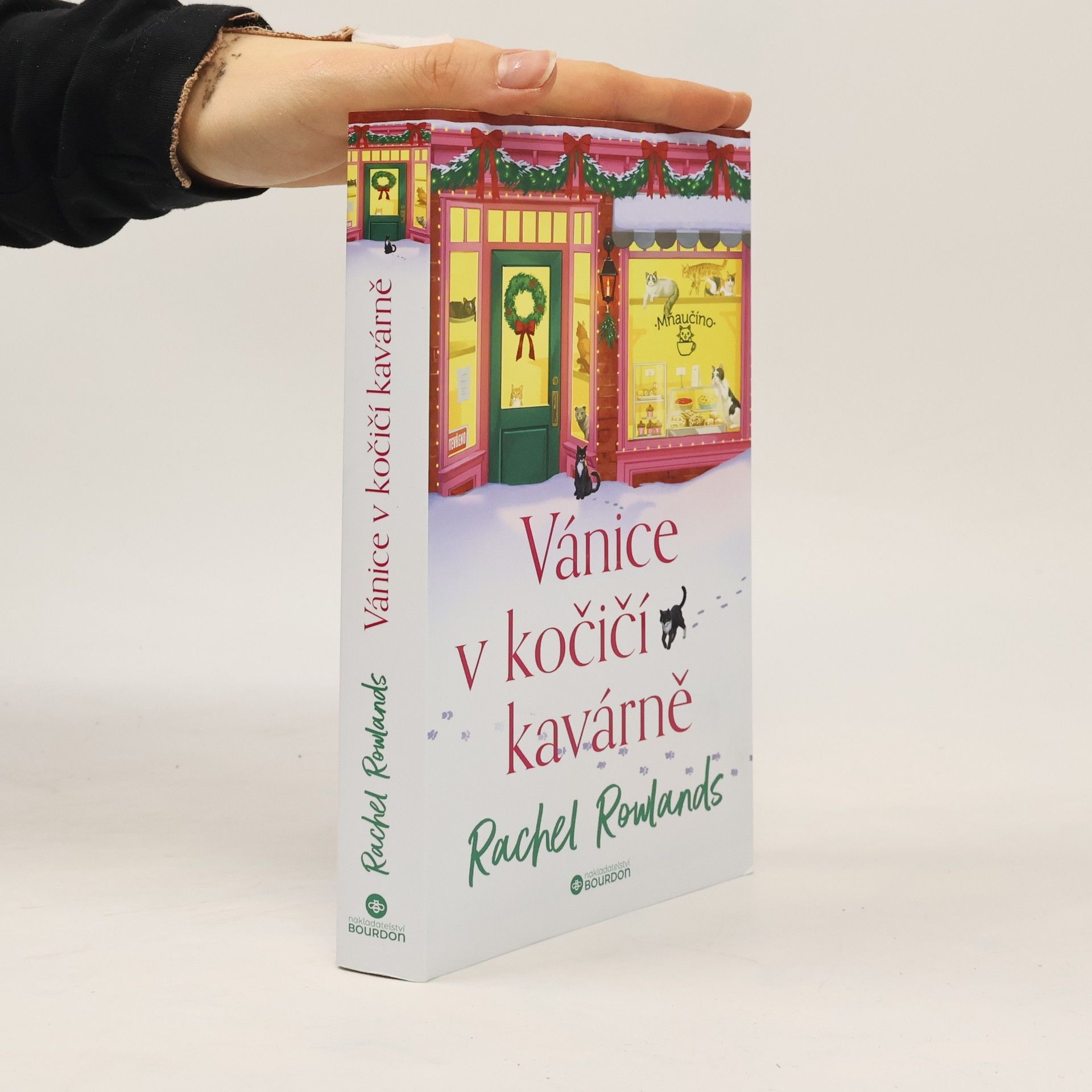 Rachel Rowlands Vánice v kočičí kavárně