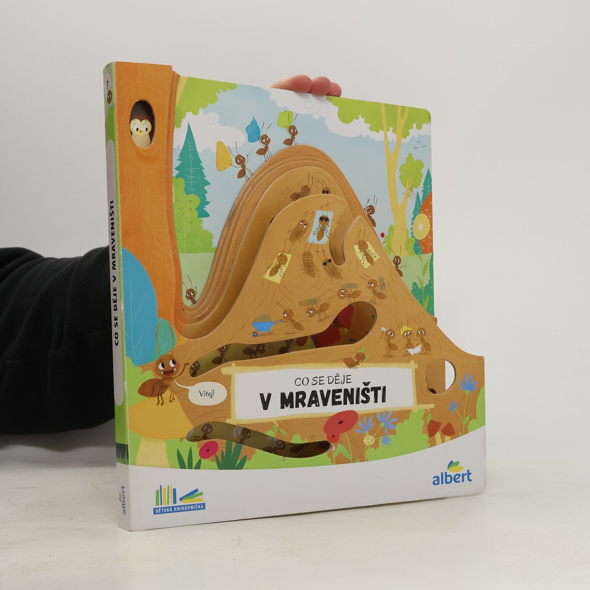 Kolektiv autorů Co se děje v mraveništi