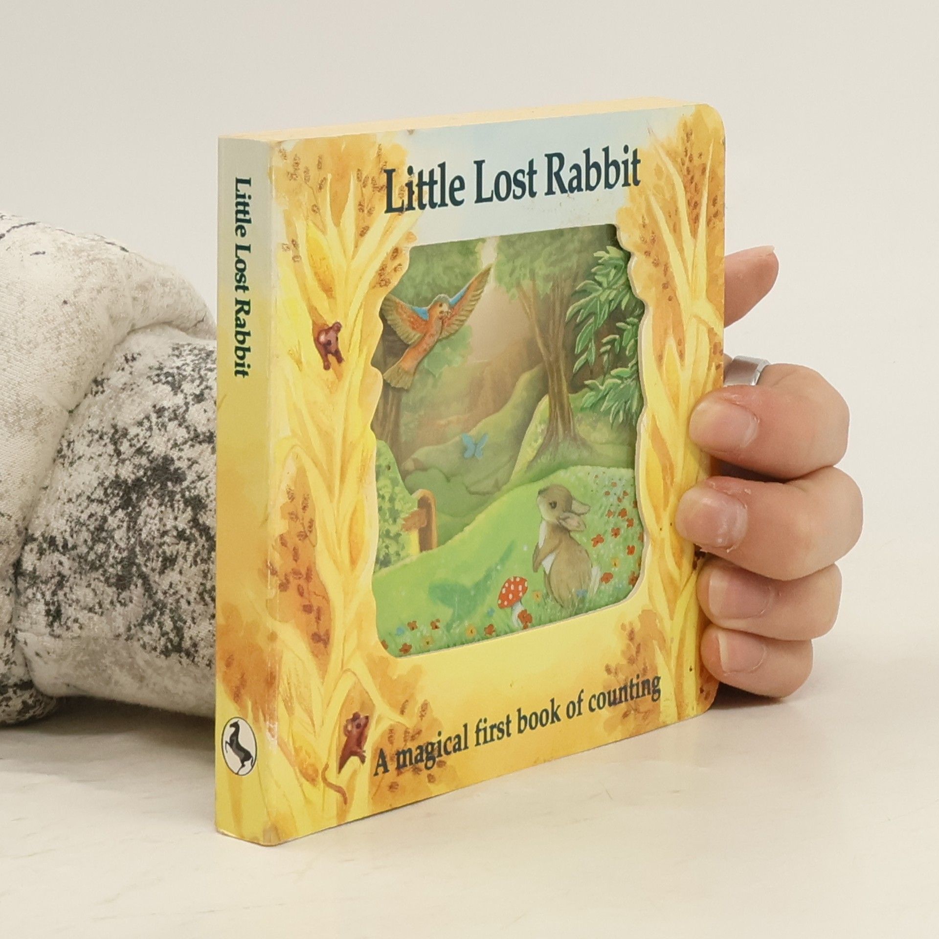Susi Adams Magic Window Books: Little Lost Rabbit