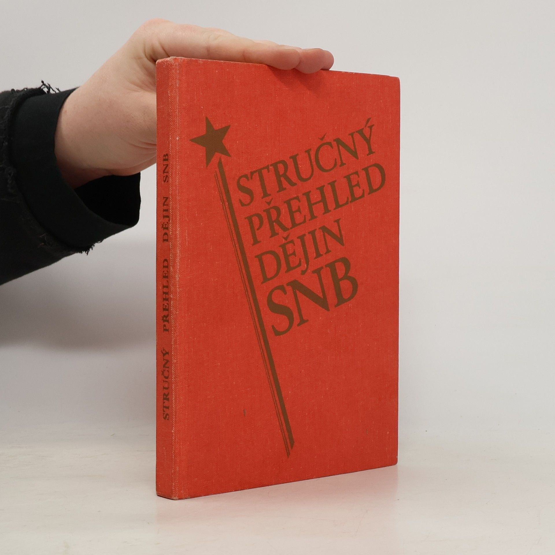 Autorenkollektiv Stručný přehled dějin SNB