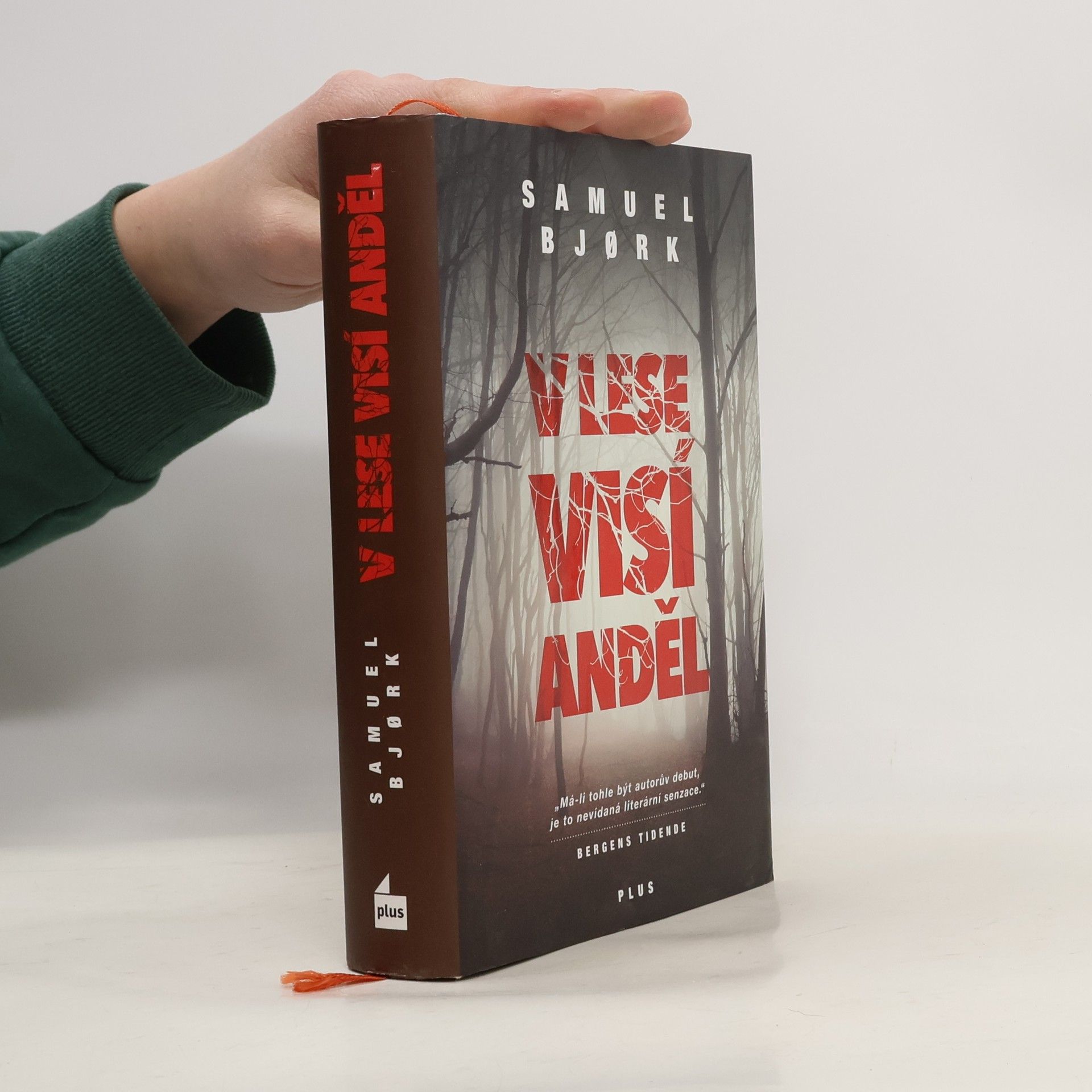 Samuel Bjork V lese visí anděl