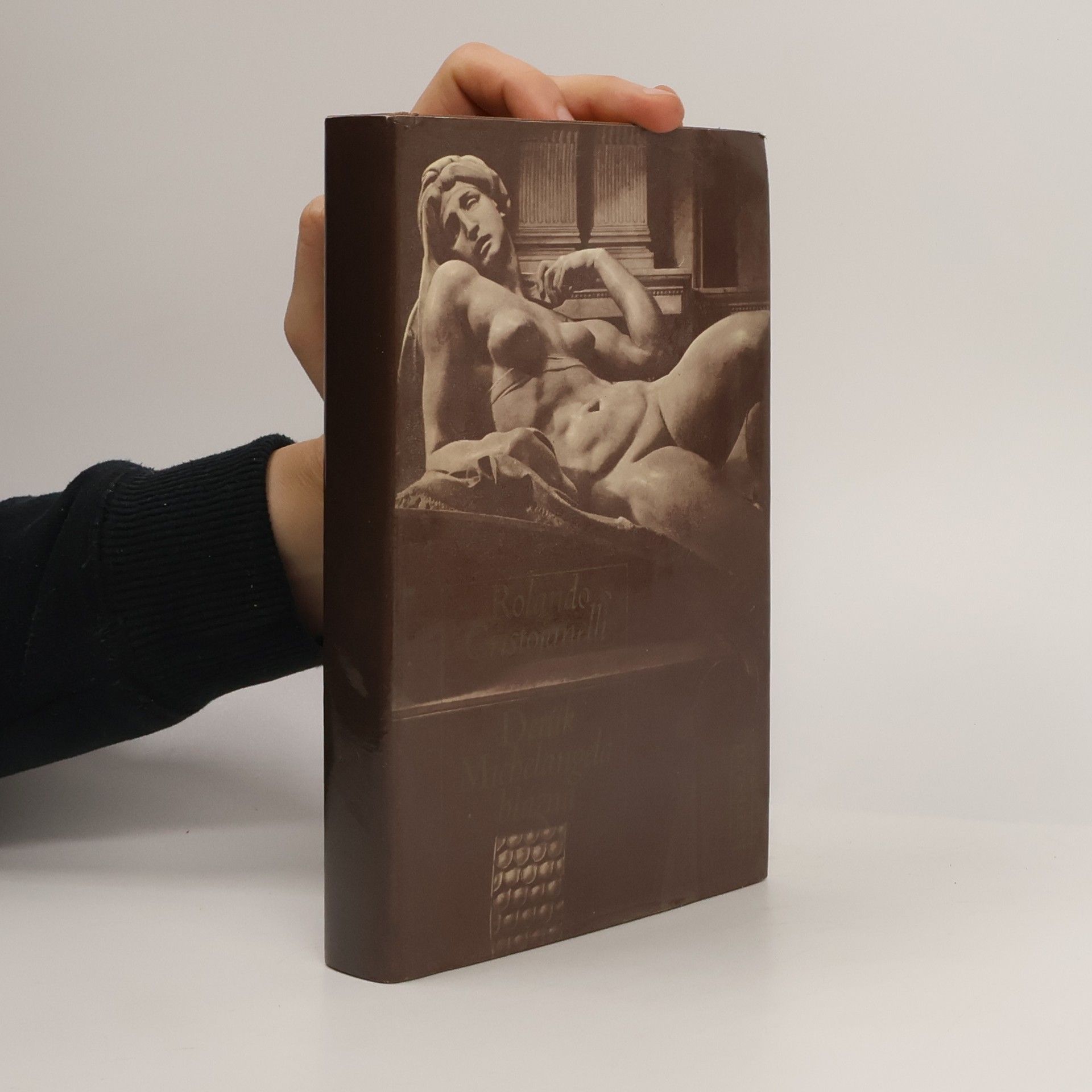 Deník Michelangela blázna