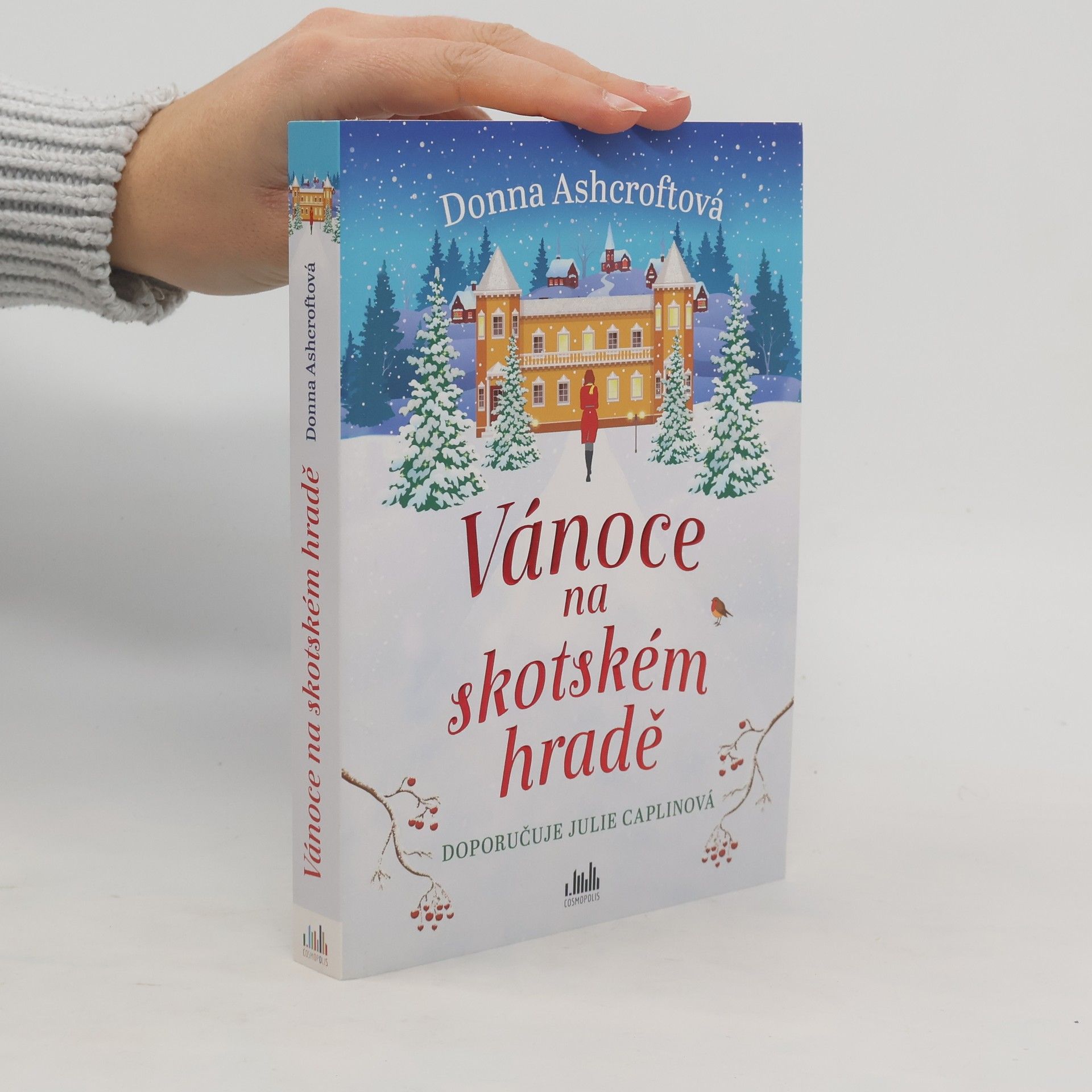 Donna Ashcroft Vánoce na skotském hradě