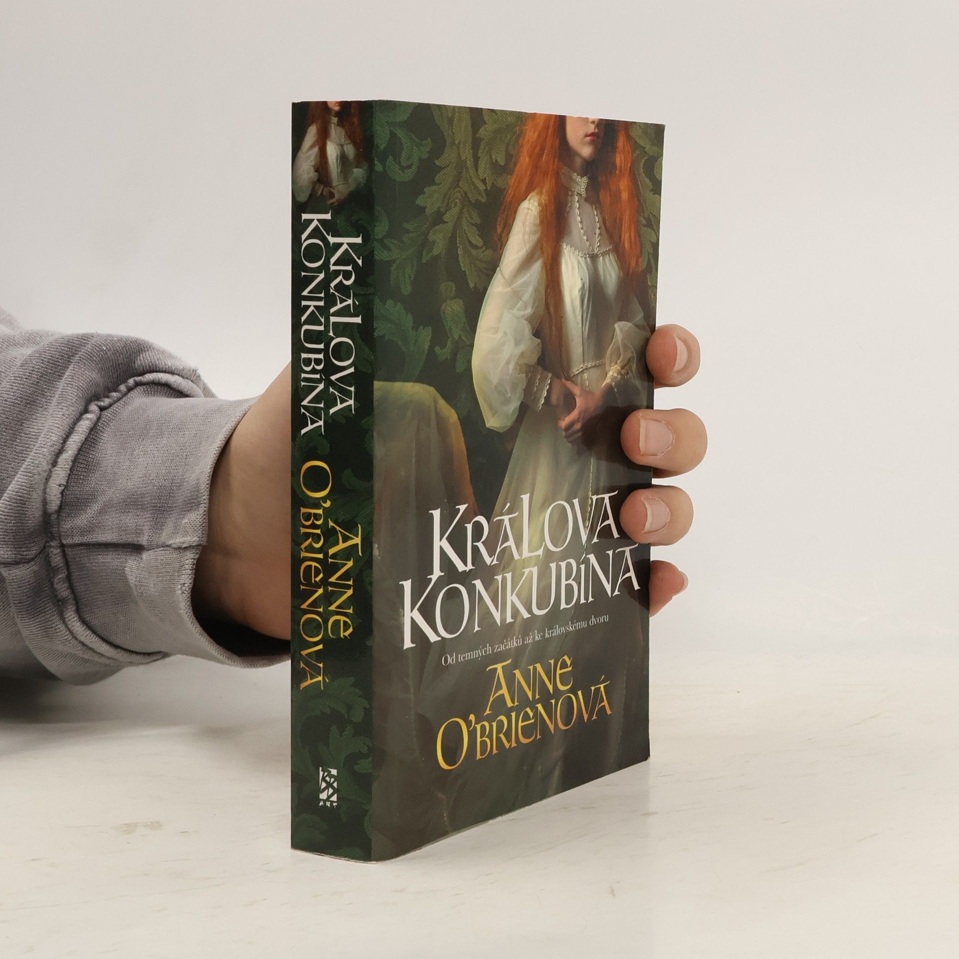 Anne O. Brien Králova konkubína