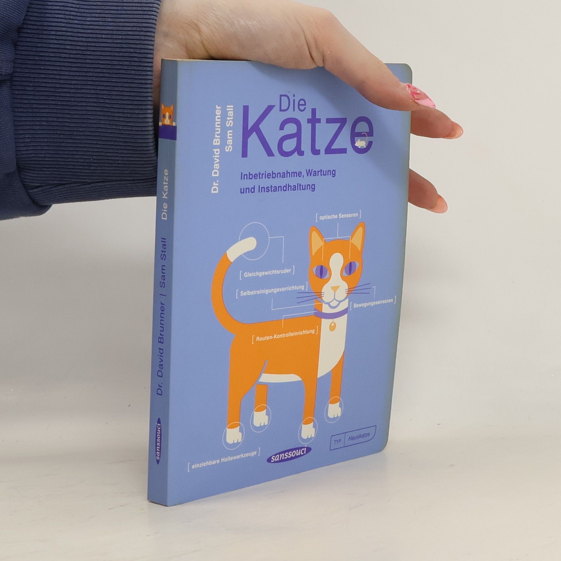 David Brunner Die Katze