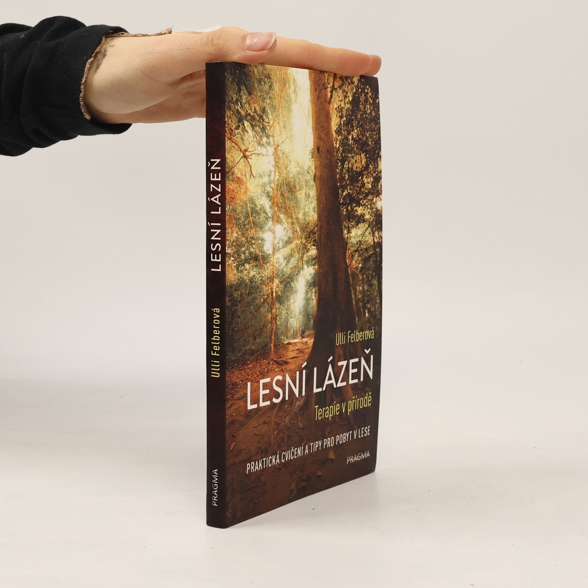 Ulli Felber Lesní lázeň - Terapie v přírodě