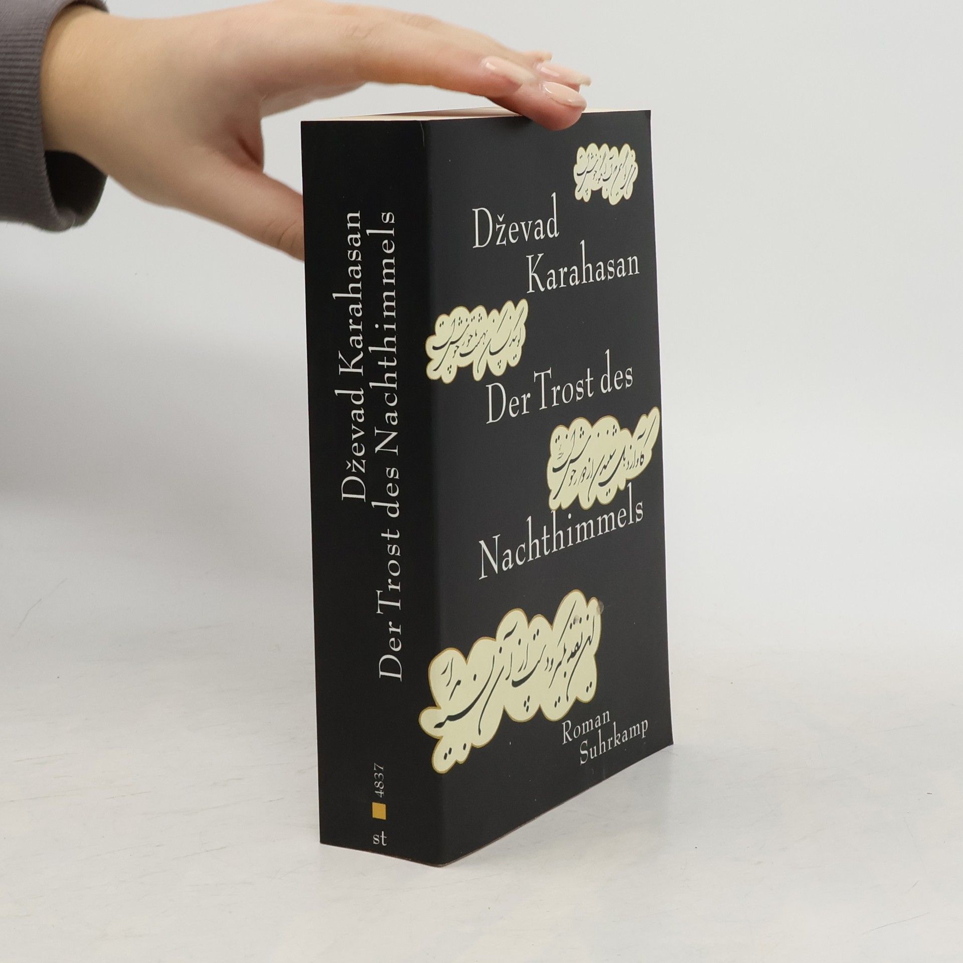 Dževad Karahasan Der Trost des Nachthimmels