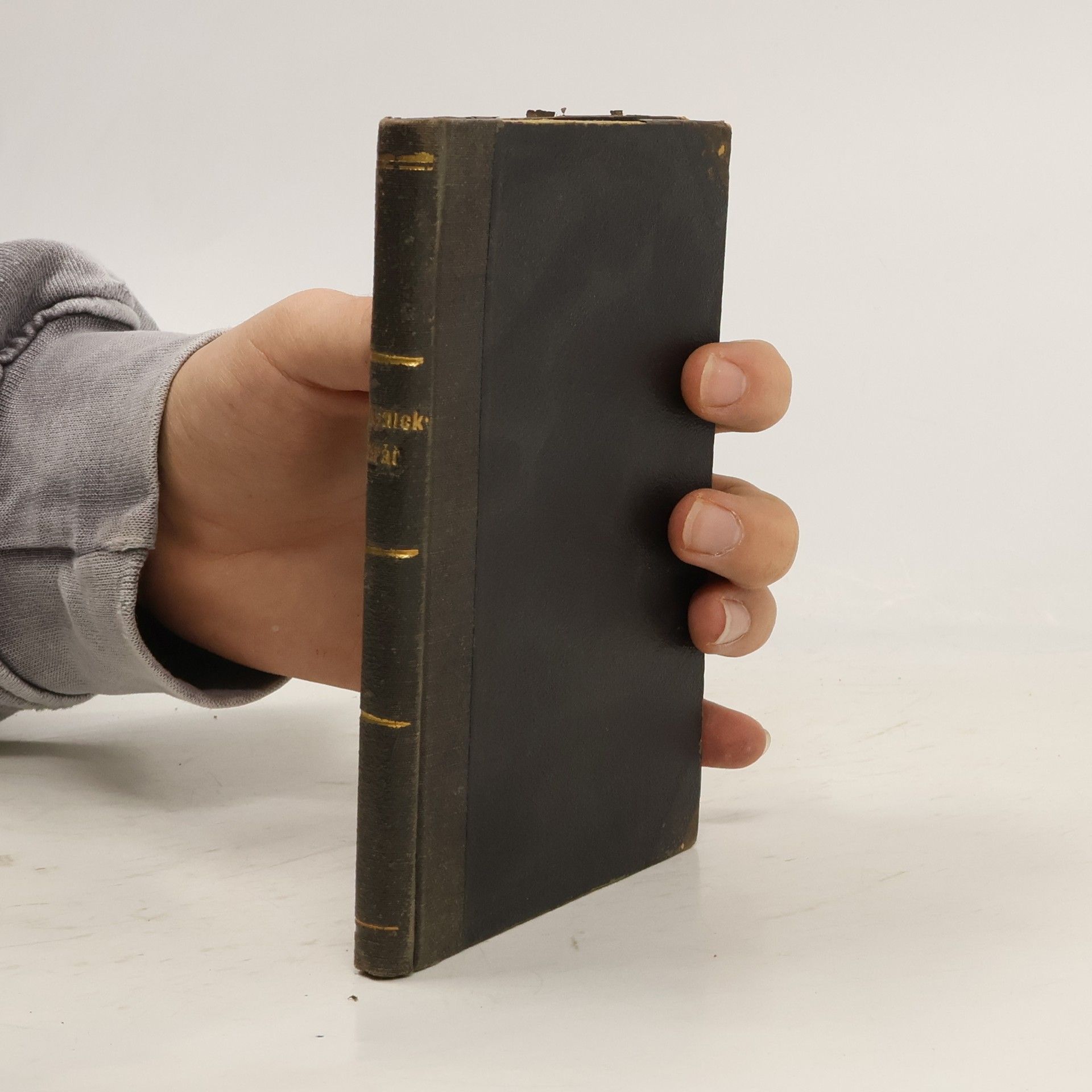 Ludvík Halévy Vesnický farář