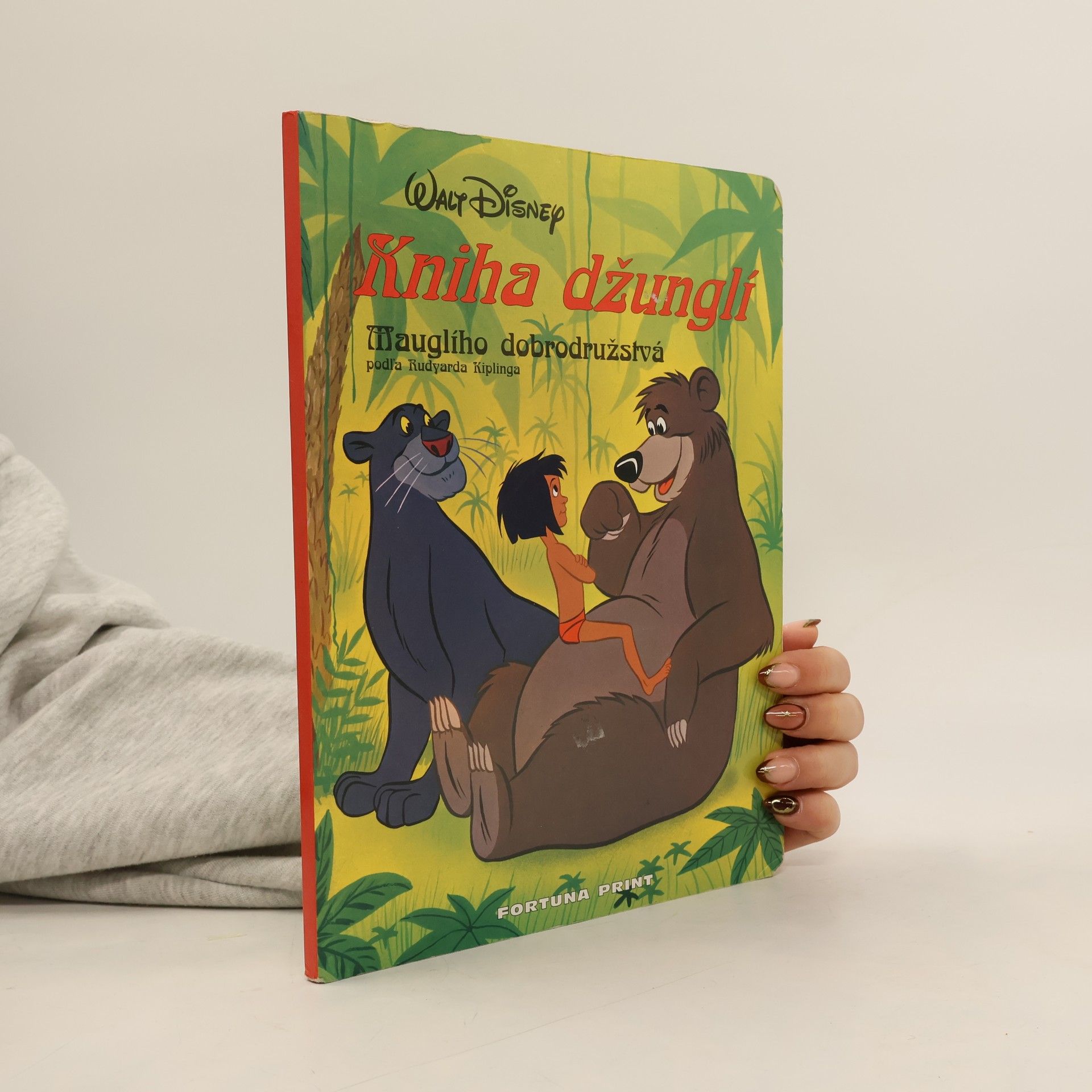 AA.VV. Kniha džunglí