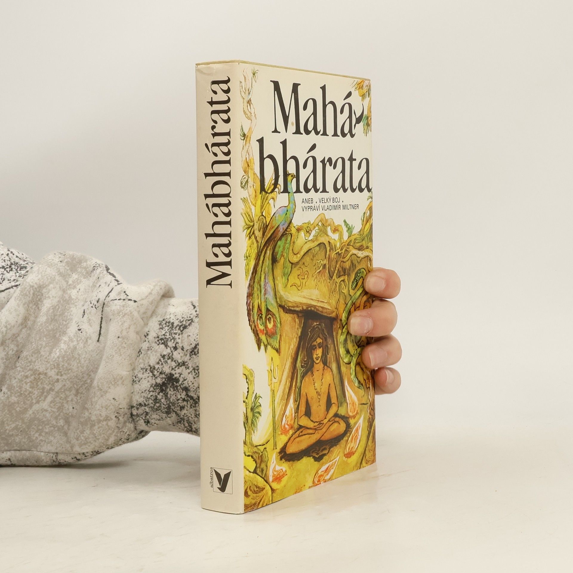 Jaromír Skřivánek Mahábhárata aneb Velký boj