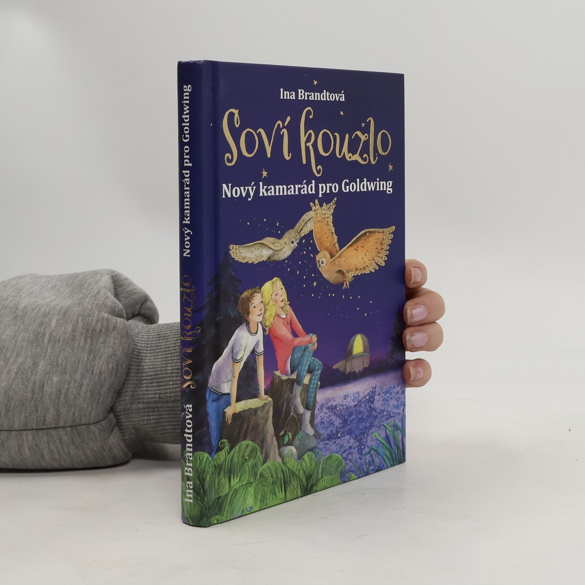 Soví kouzlo. Nový kamarád pro Goldwing