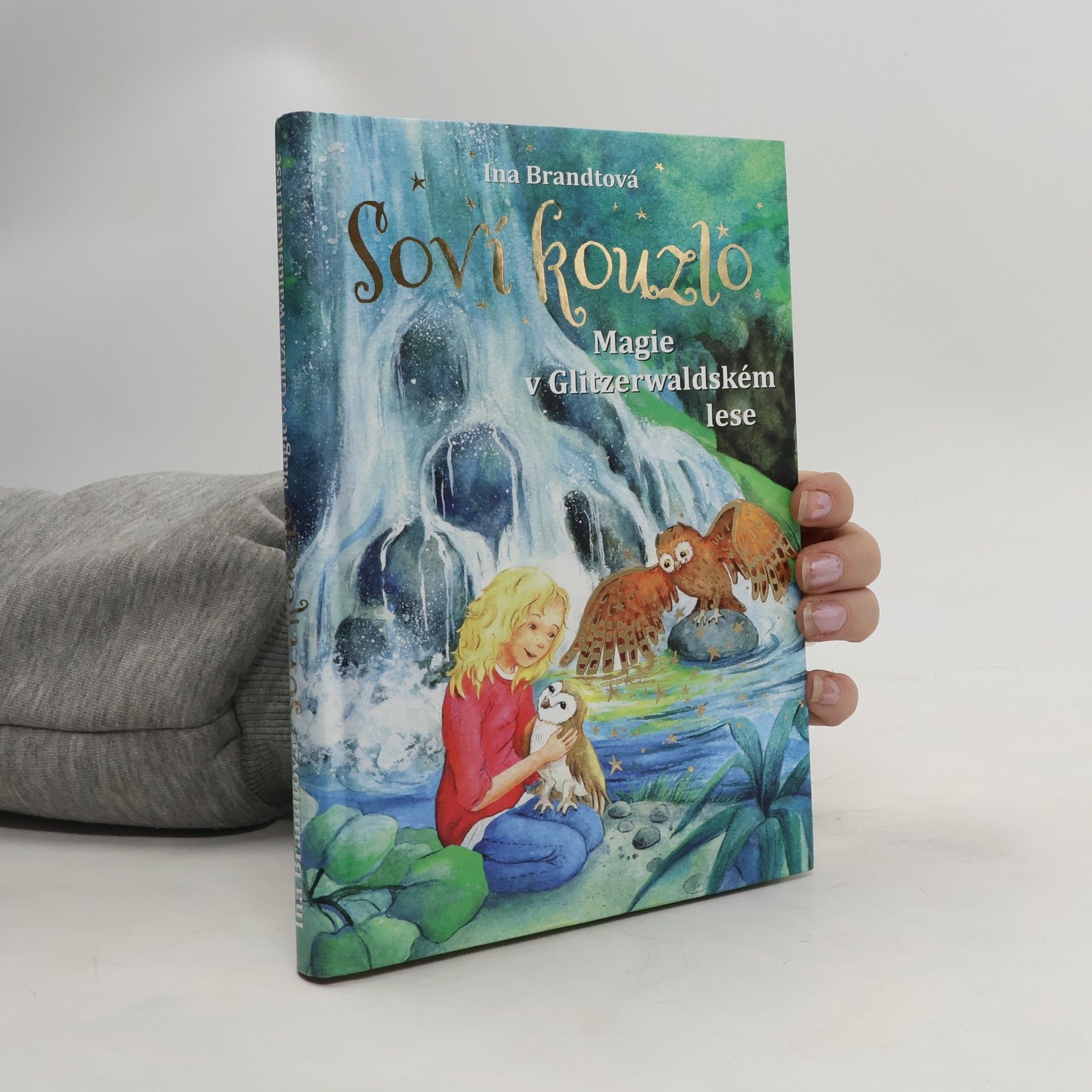 Ina Brandt Soví kouzlo. Magie v Glitzerwaldském lese