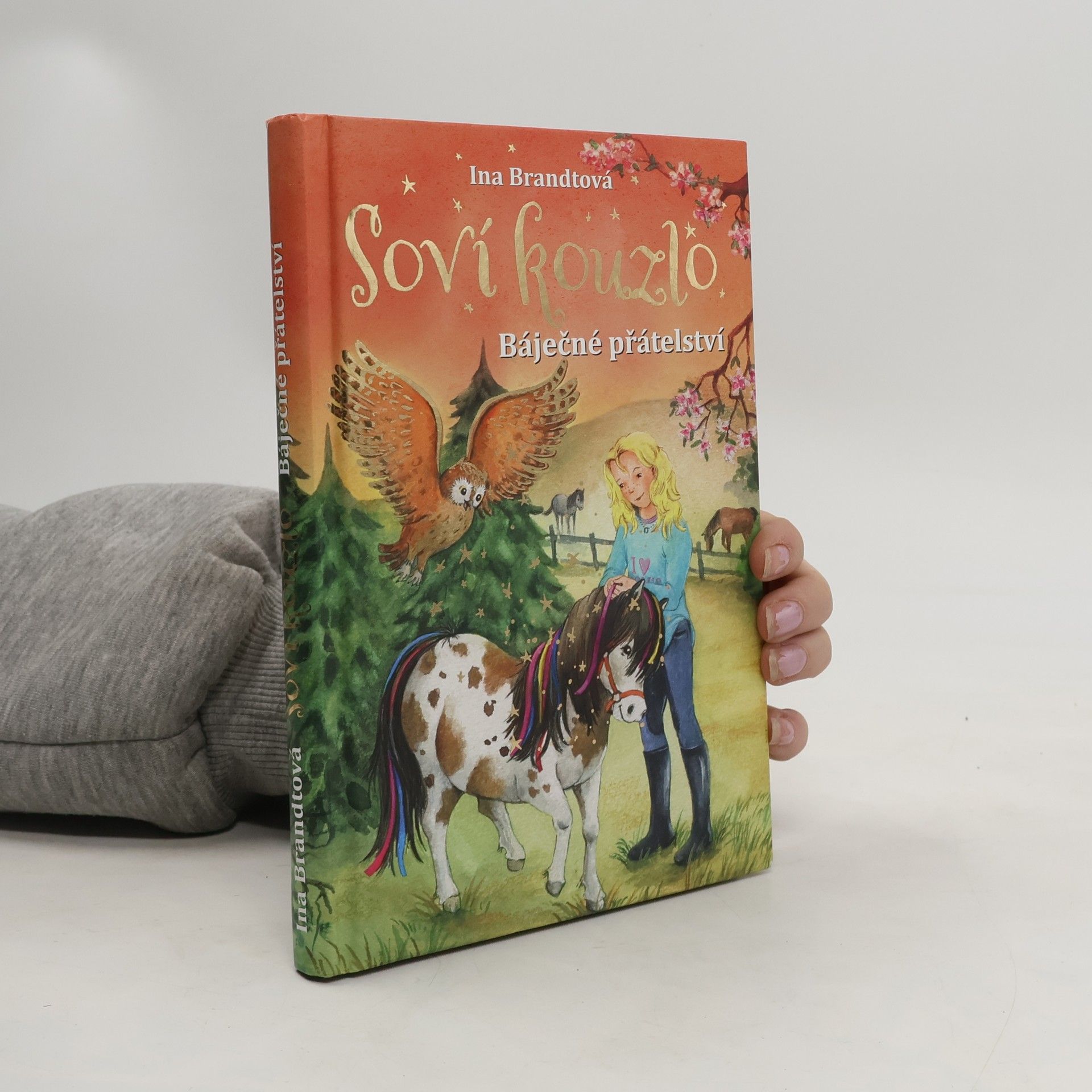 Ina Brandt Soví kouzlo. Báječné přátelství