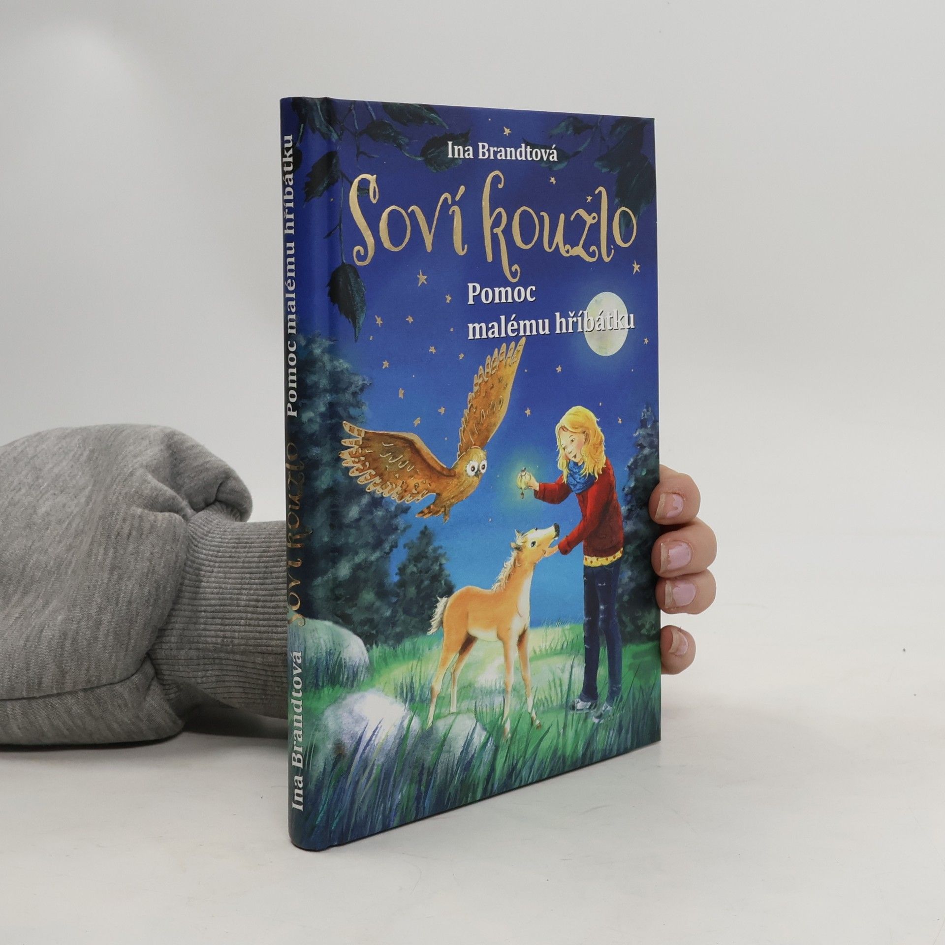 Irene Mohr Soví kouzlo. Pomoc malému hříbátku