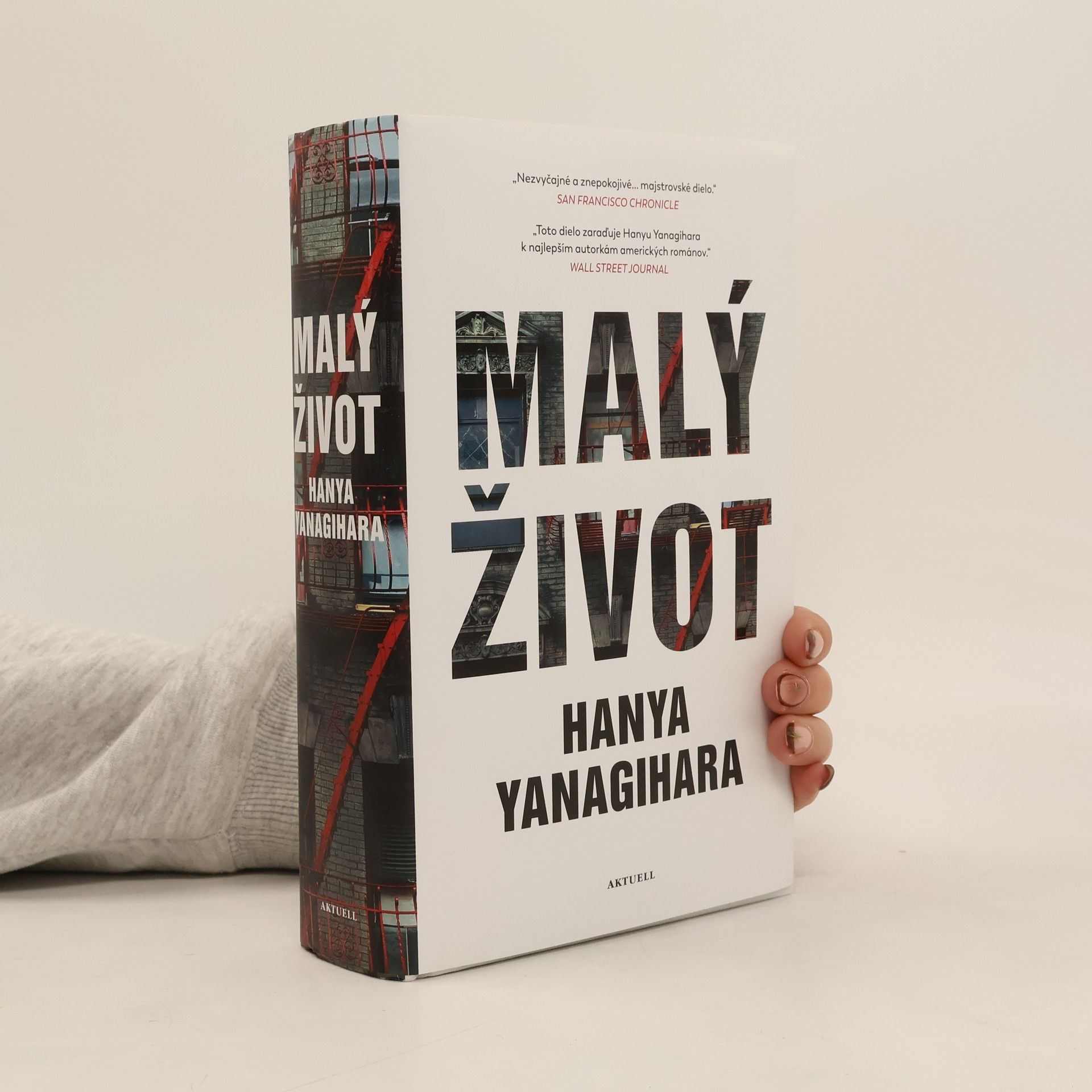 Hanya Yanagihara Malý život