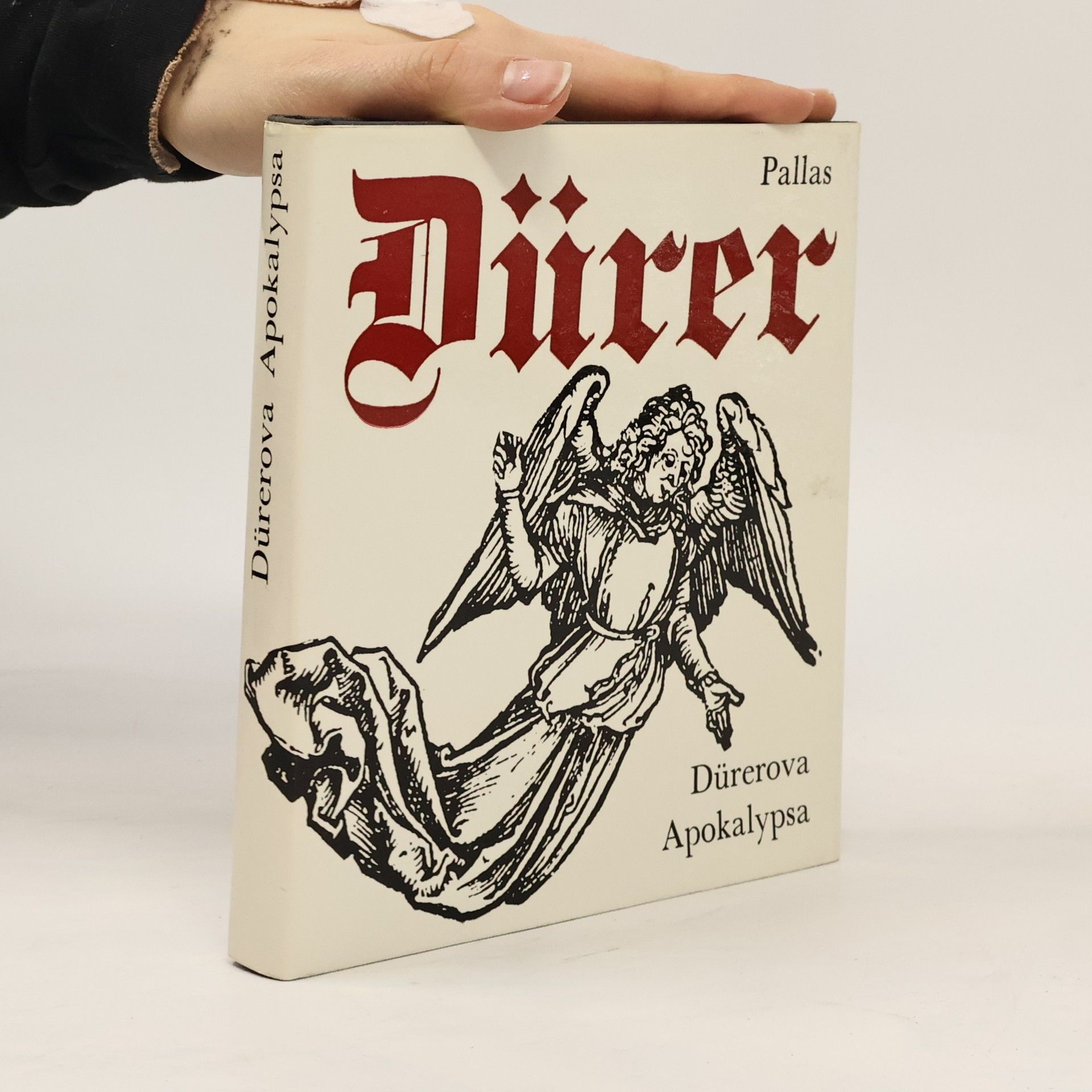 Radislav Matuštík Dürerova Apokalypsa