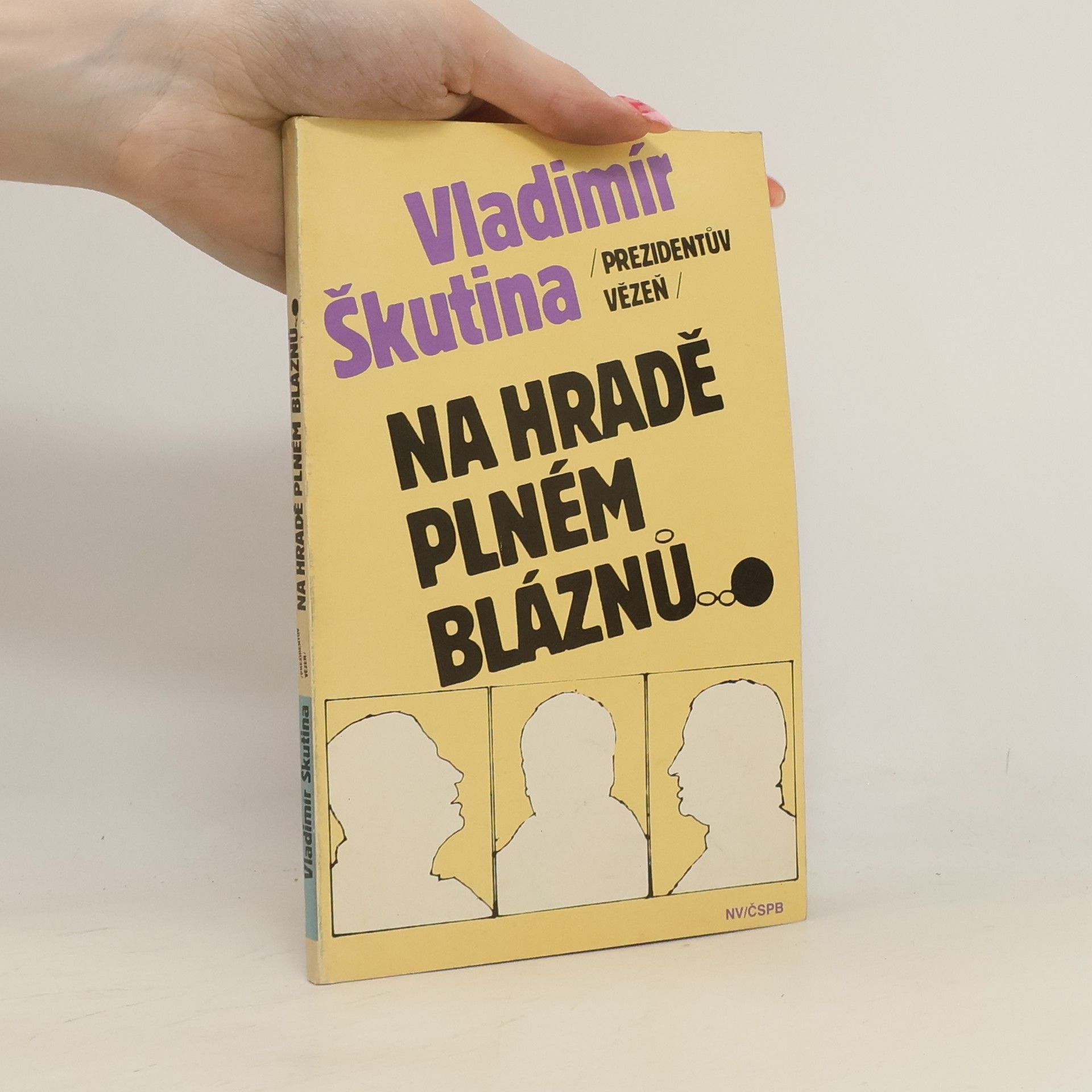 Vladimír Škutina Na hradě plném bláznů