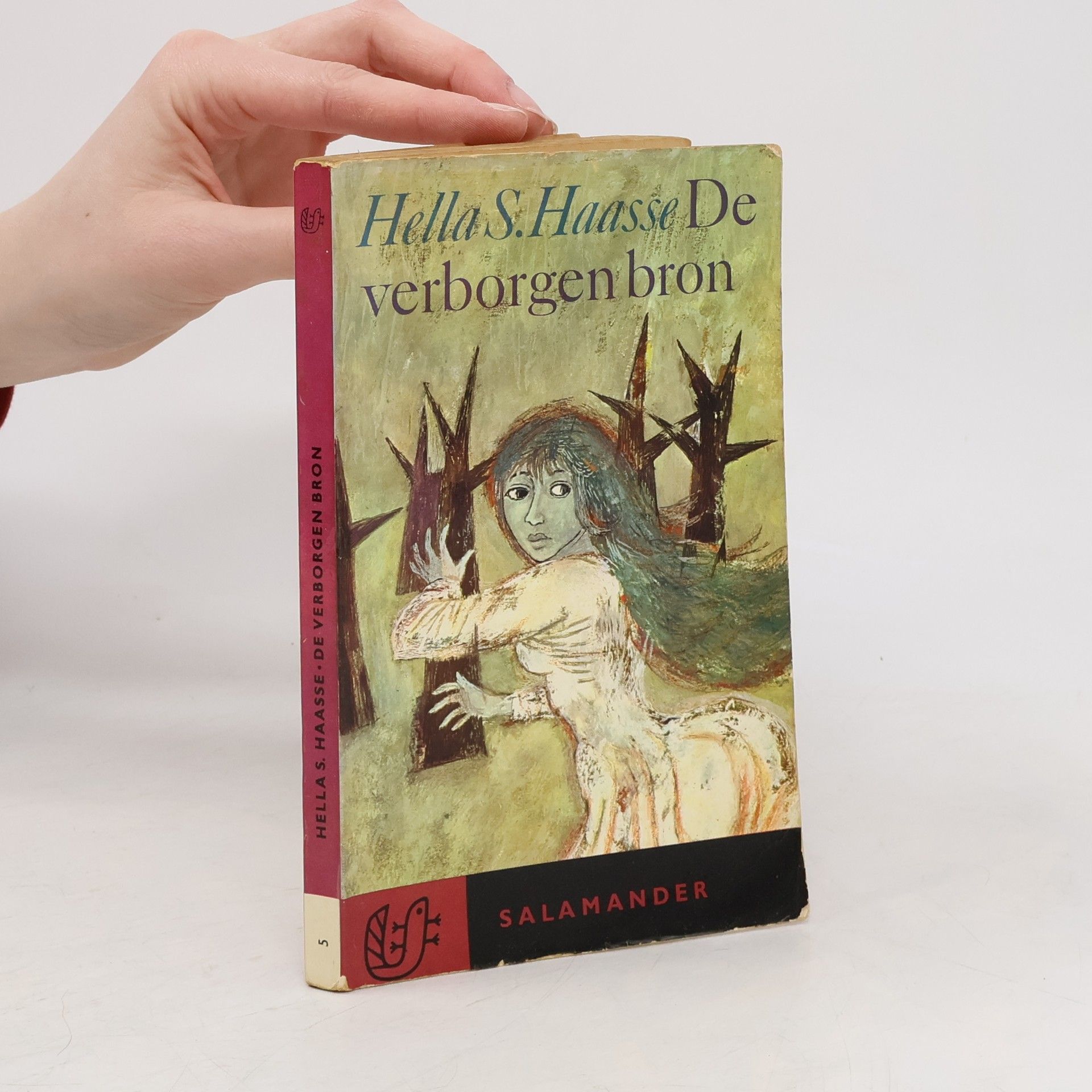 Hella S. Haase De verborgen bron