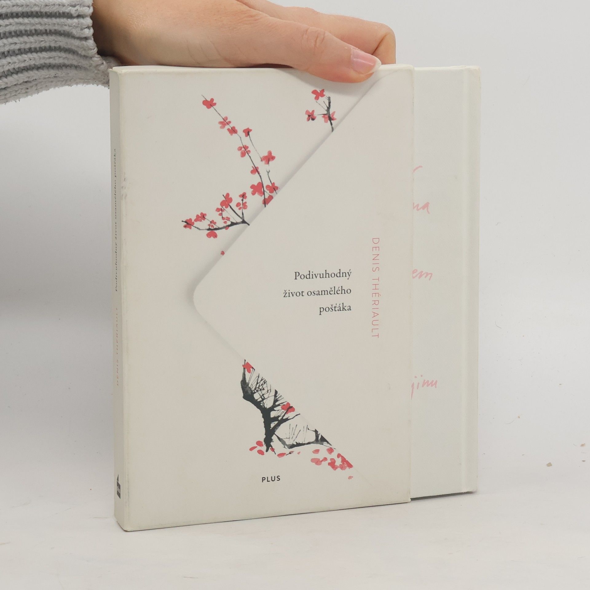 Podivuhodný život osamělého pošťáka