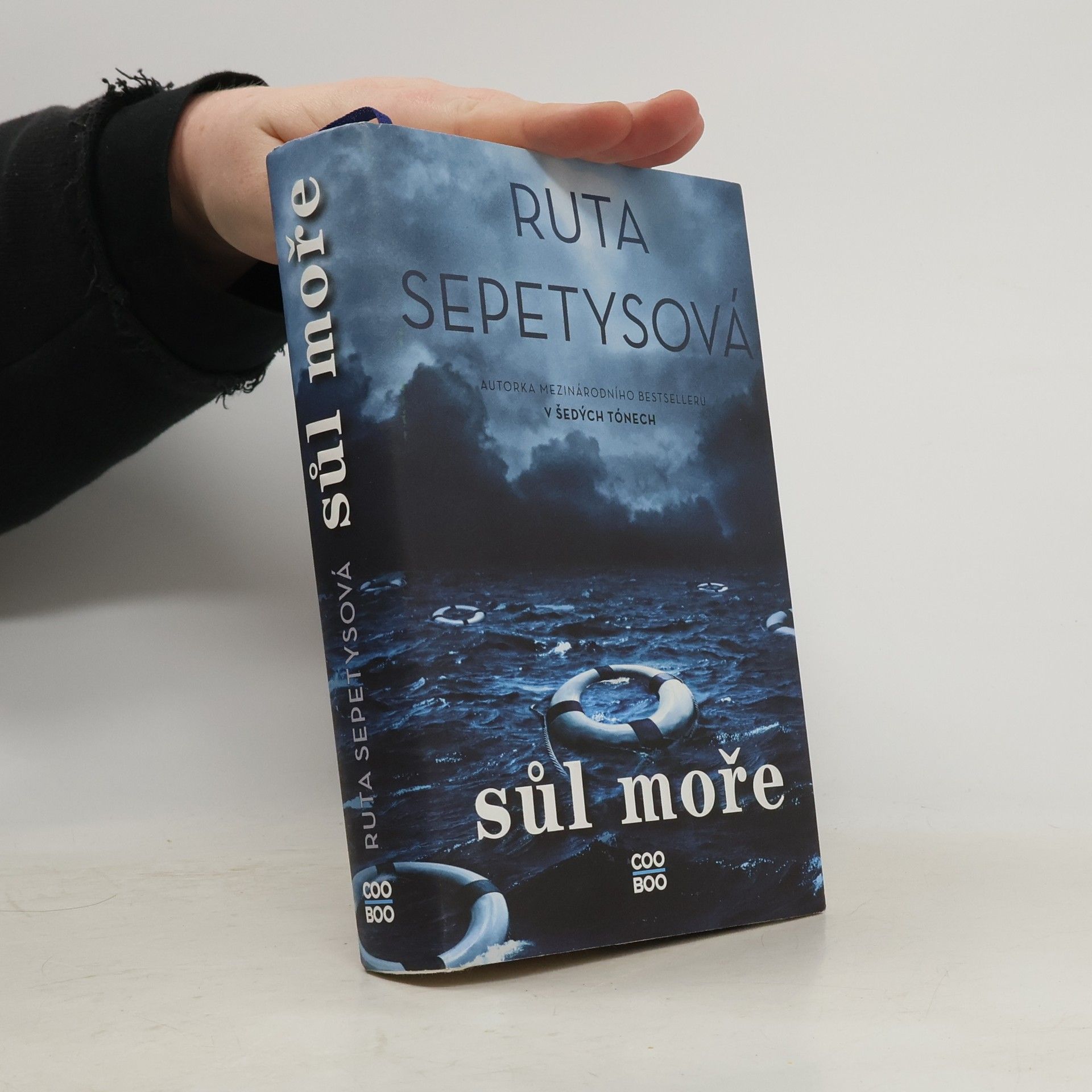 Ruta Sepetys Sůl moře