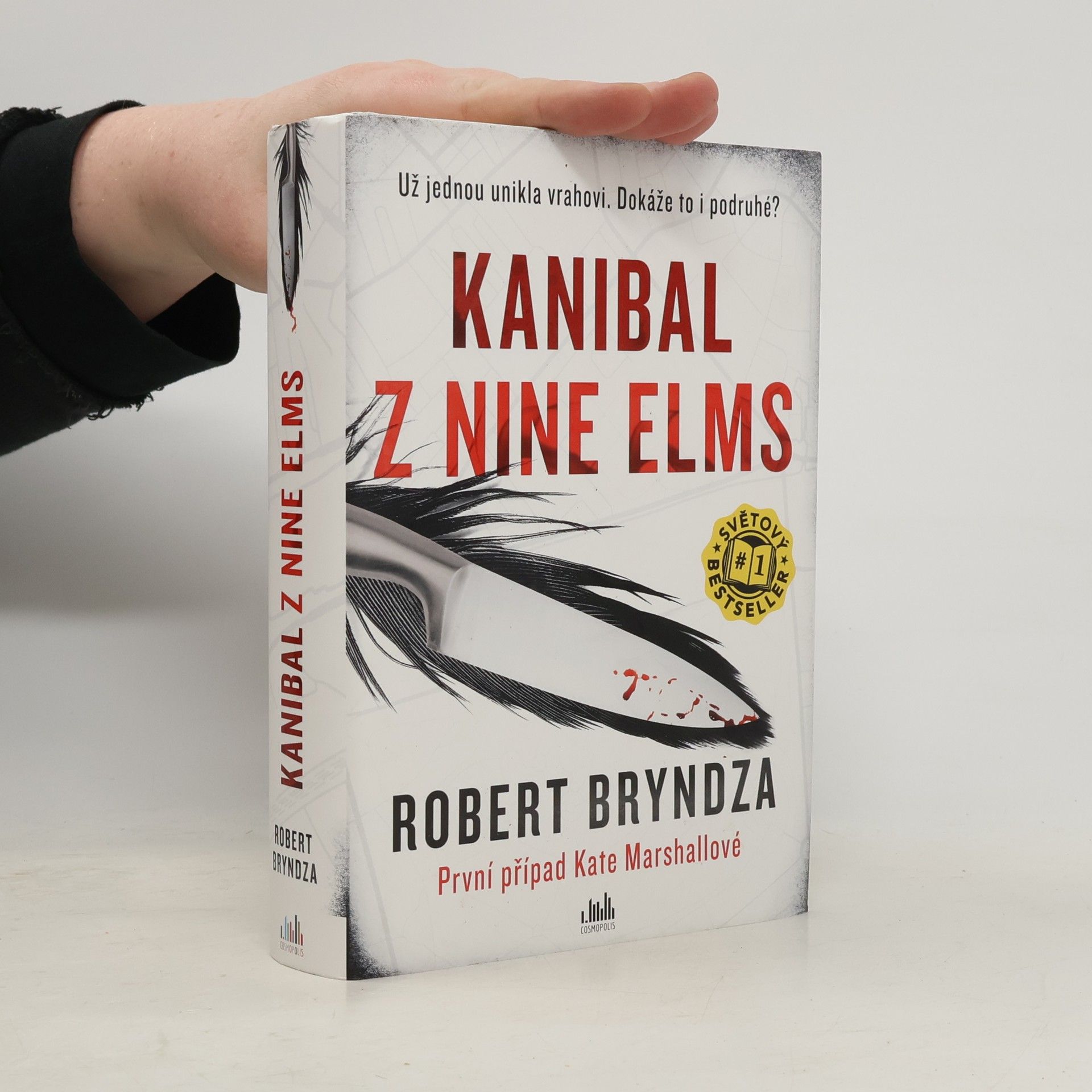Robert Bryndza Kanibal z Nine Elms