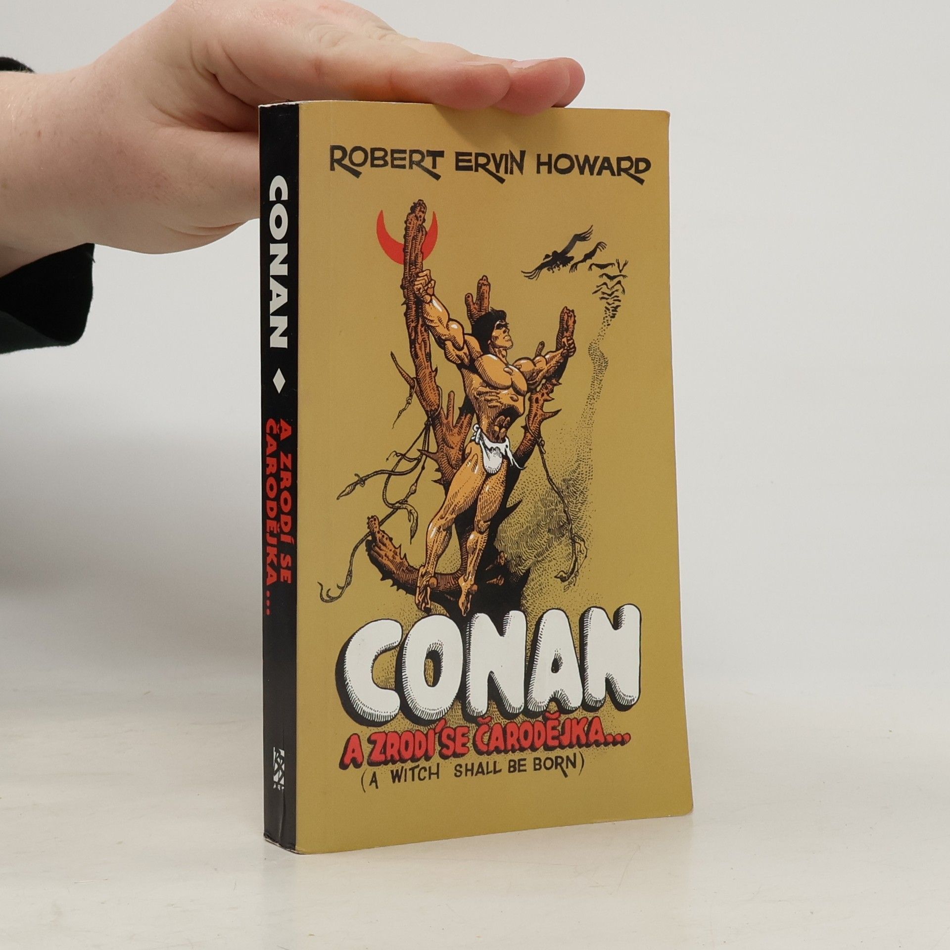 Robert E. Howard Conan: A zrodí se čarodějka... a jiné povídky