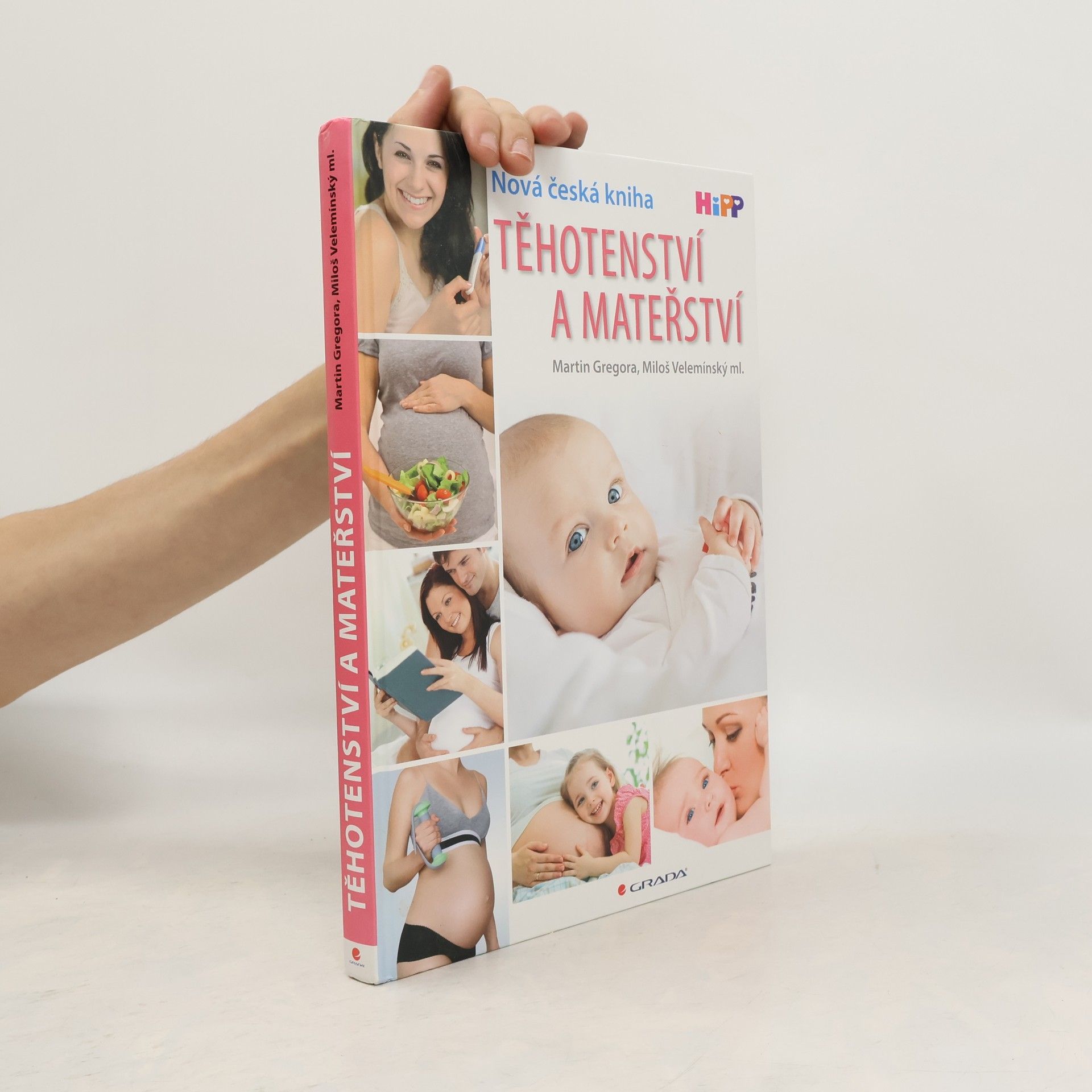 Martin Gregor-Dellin Těhotenství a mateřství