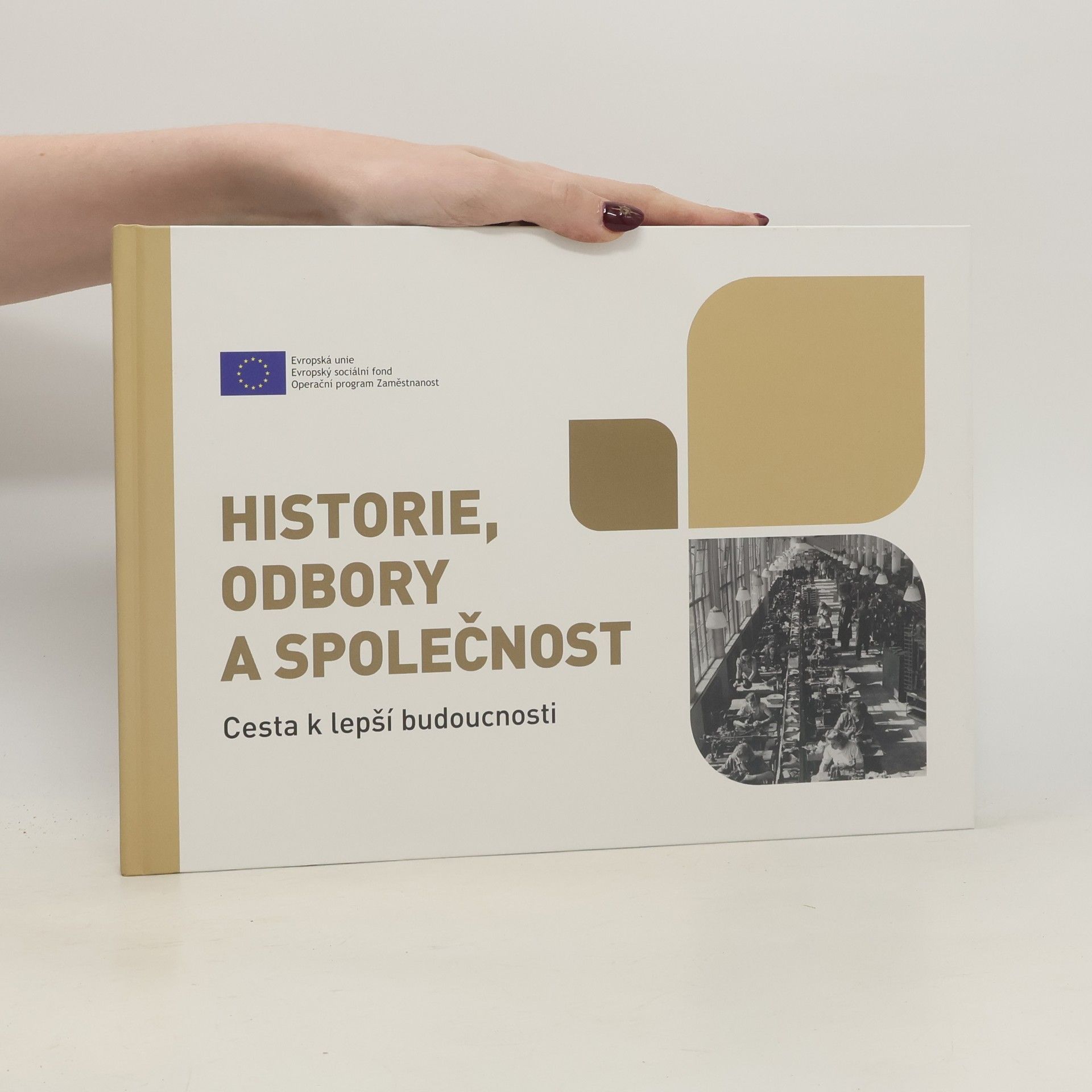 Autorenkollektiv Historie, odbory a společnost : cesta k lepší budoucnosti