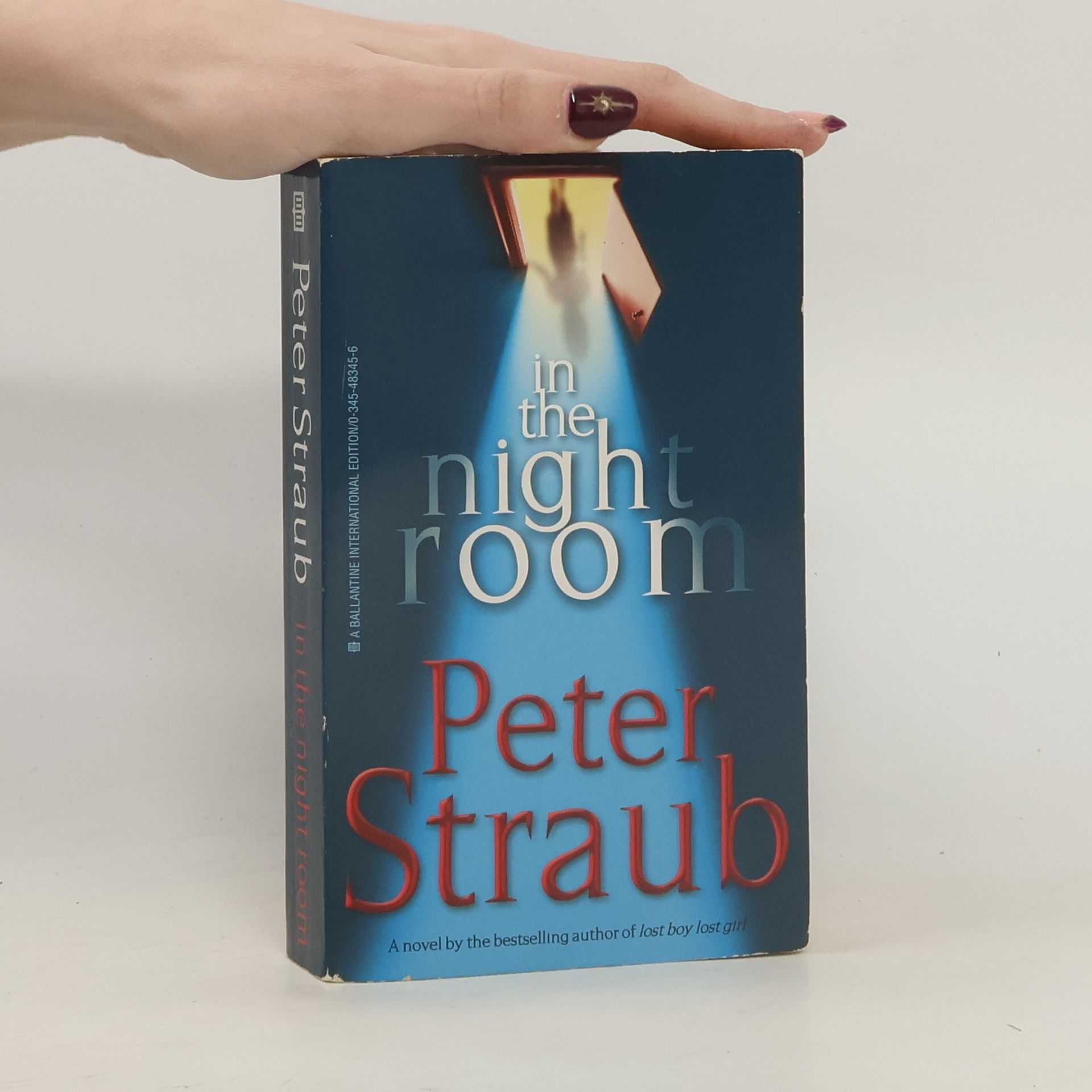 Peter Straub In the Night Room