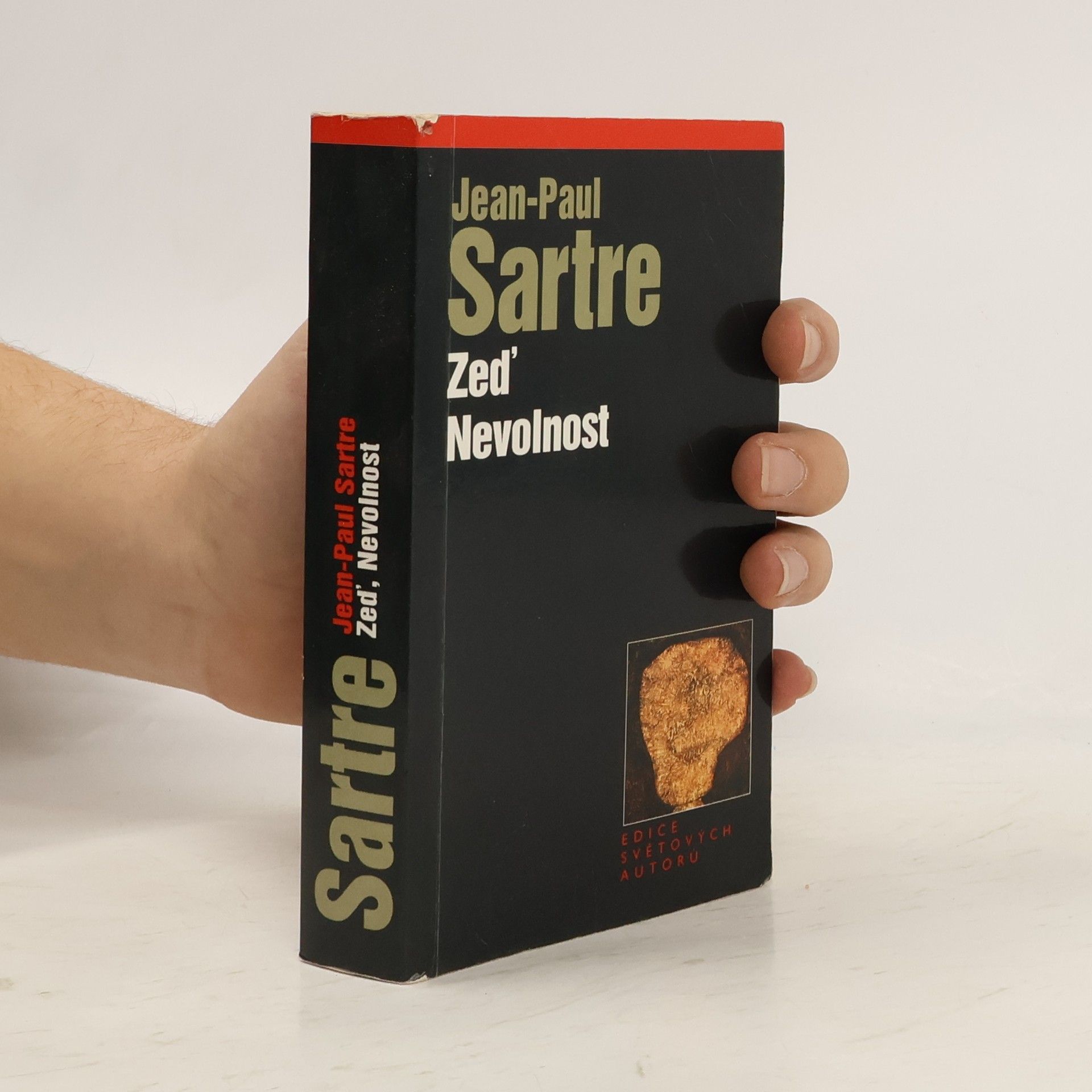 Dagmar Stein Zeď ; Nevolnost