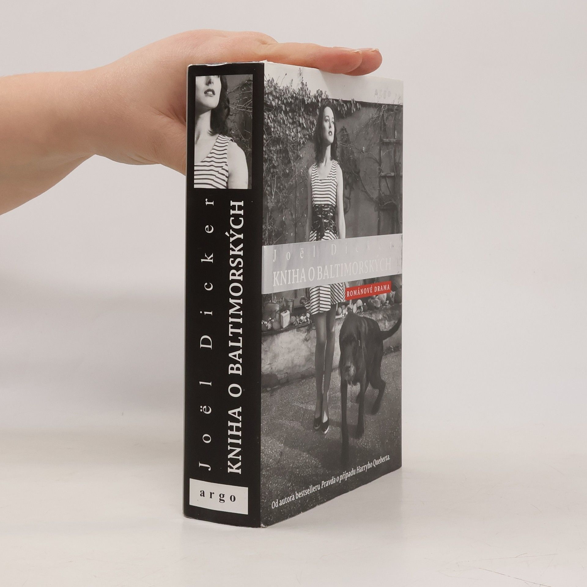 Kniha o Baltimorských