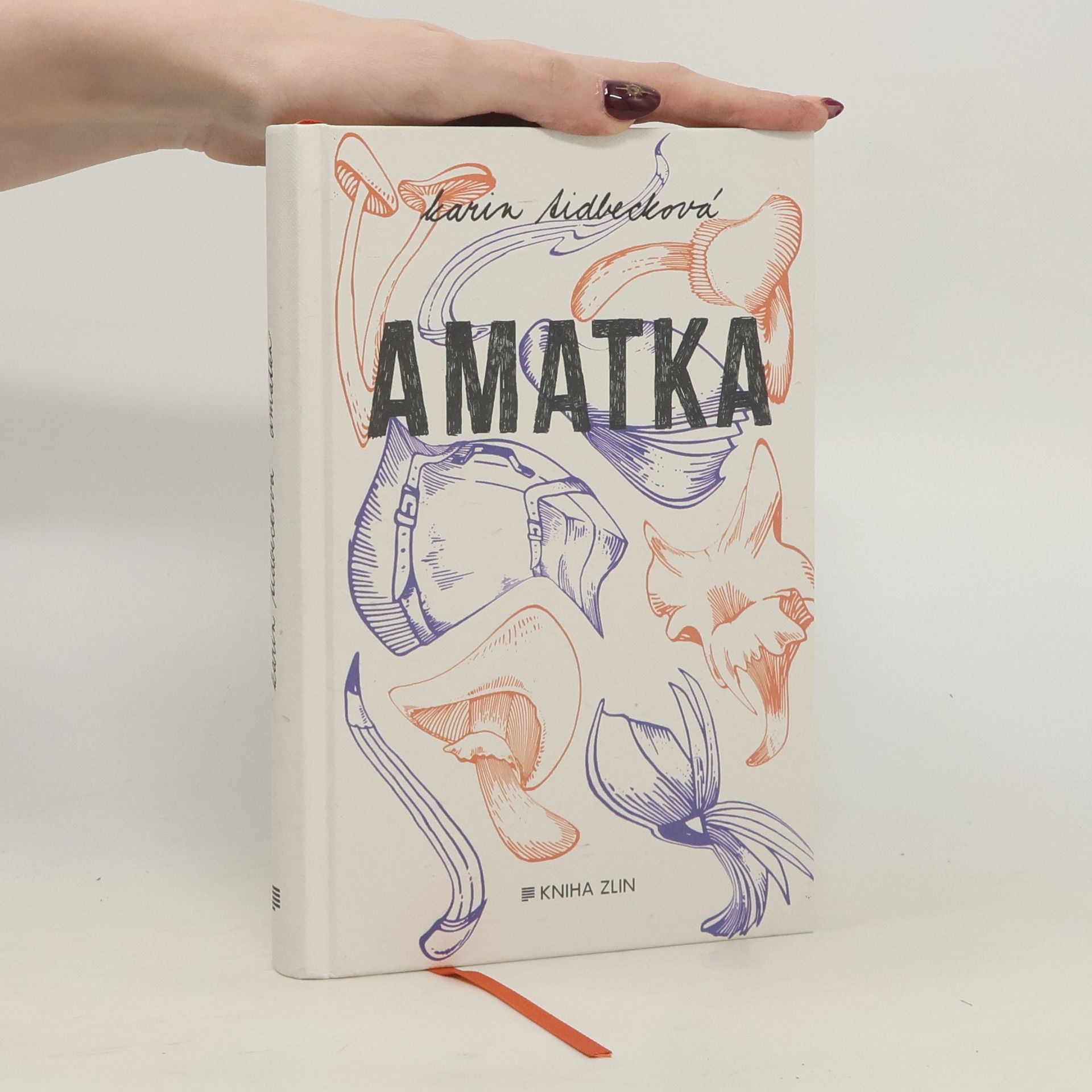 Karin Tidbeck Amatka