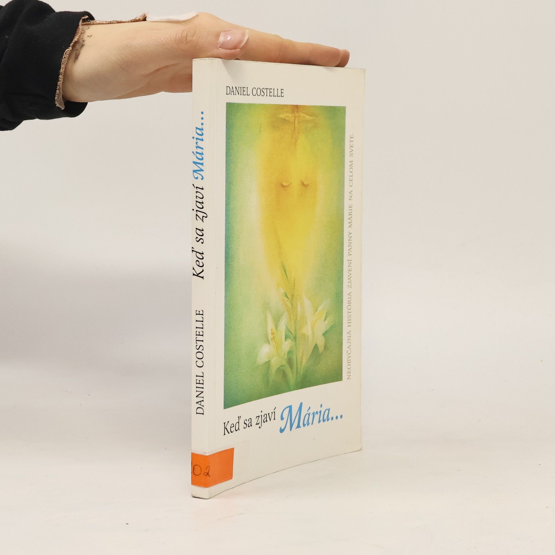 Keď sa zjaví Mária ... Neobyčajná história zjavení Panny Márie na celom svete