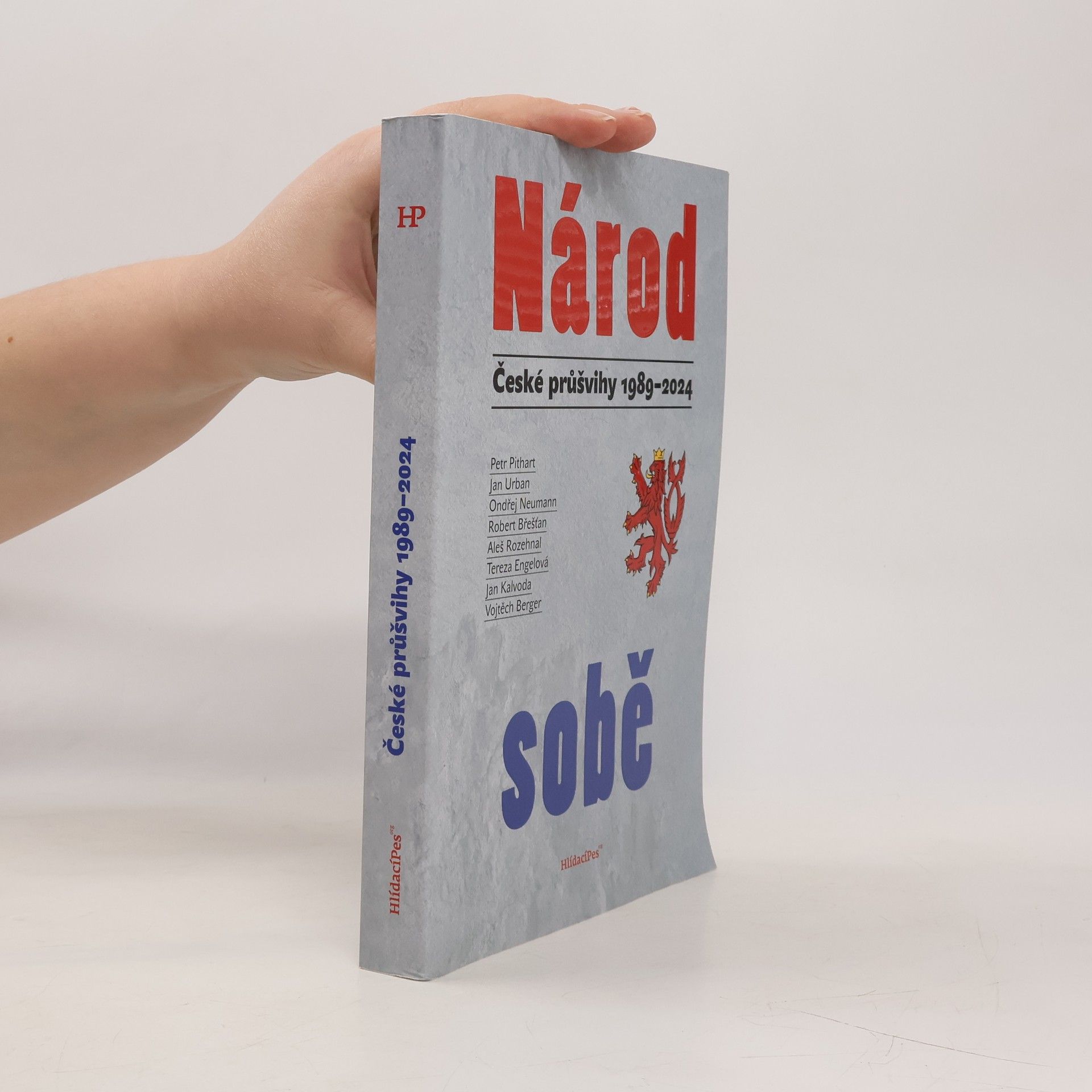 Autorenkollektiv Národ sobě. České průšvihy 1989-2024