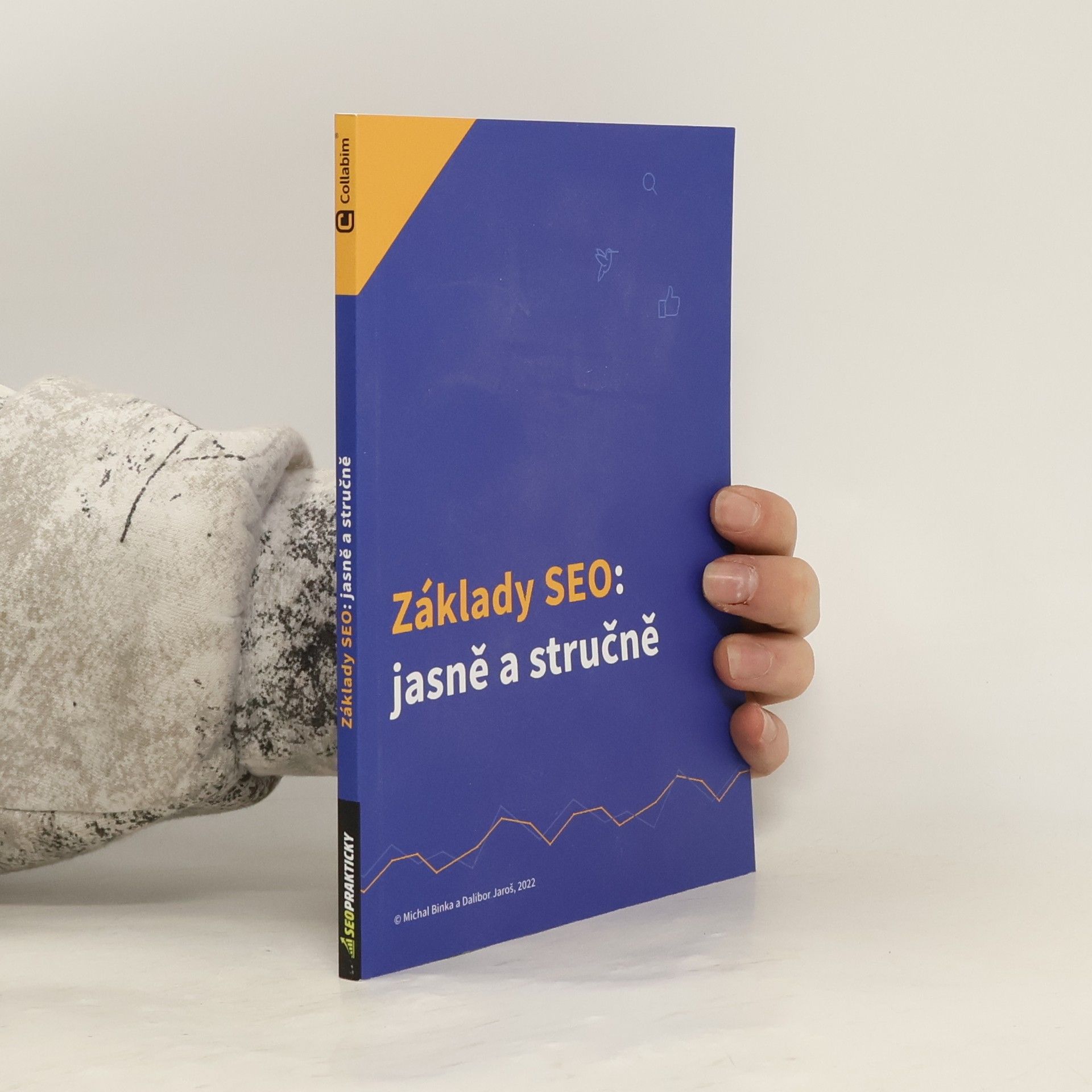 Michal Binka Základy SEO: Jasně a stručně