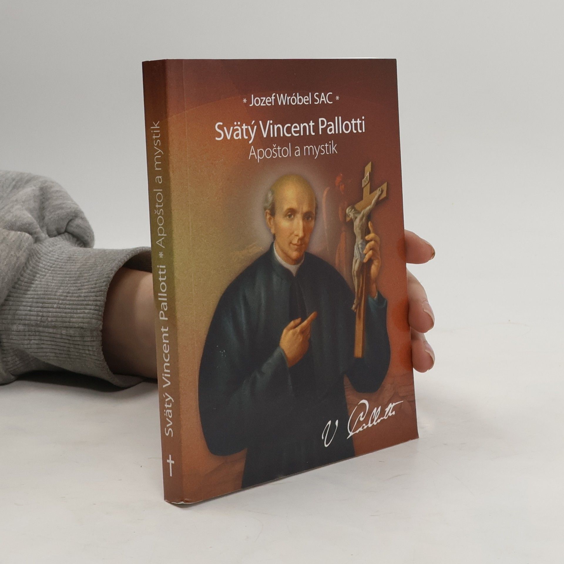 Jozef Wróbel Svätý Vincent Pallotti. Apoštol a mystik