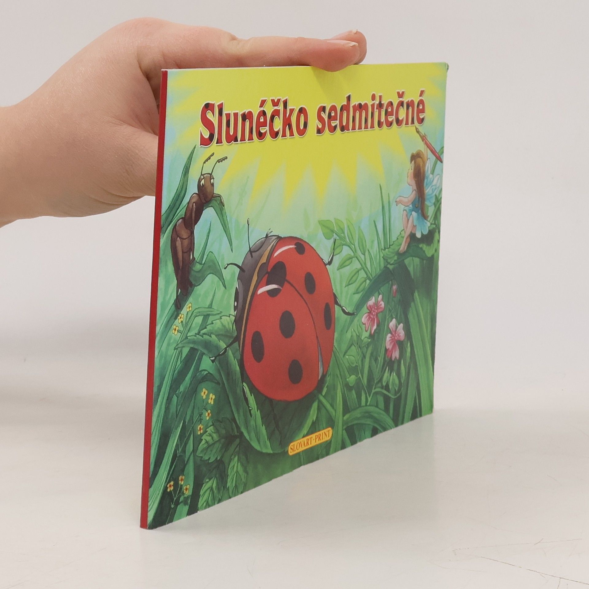 Autorenkollektiv Slunéčko sedmitečné