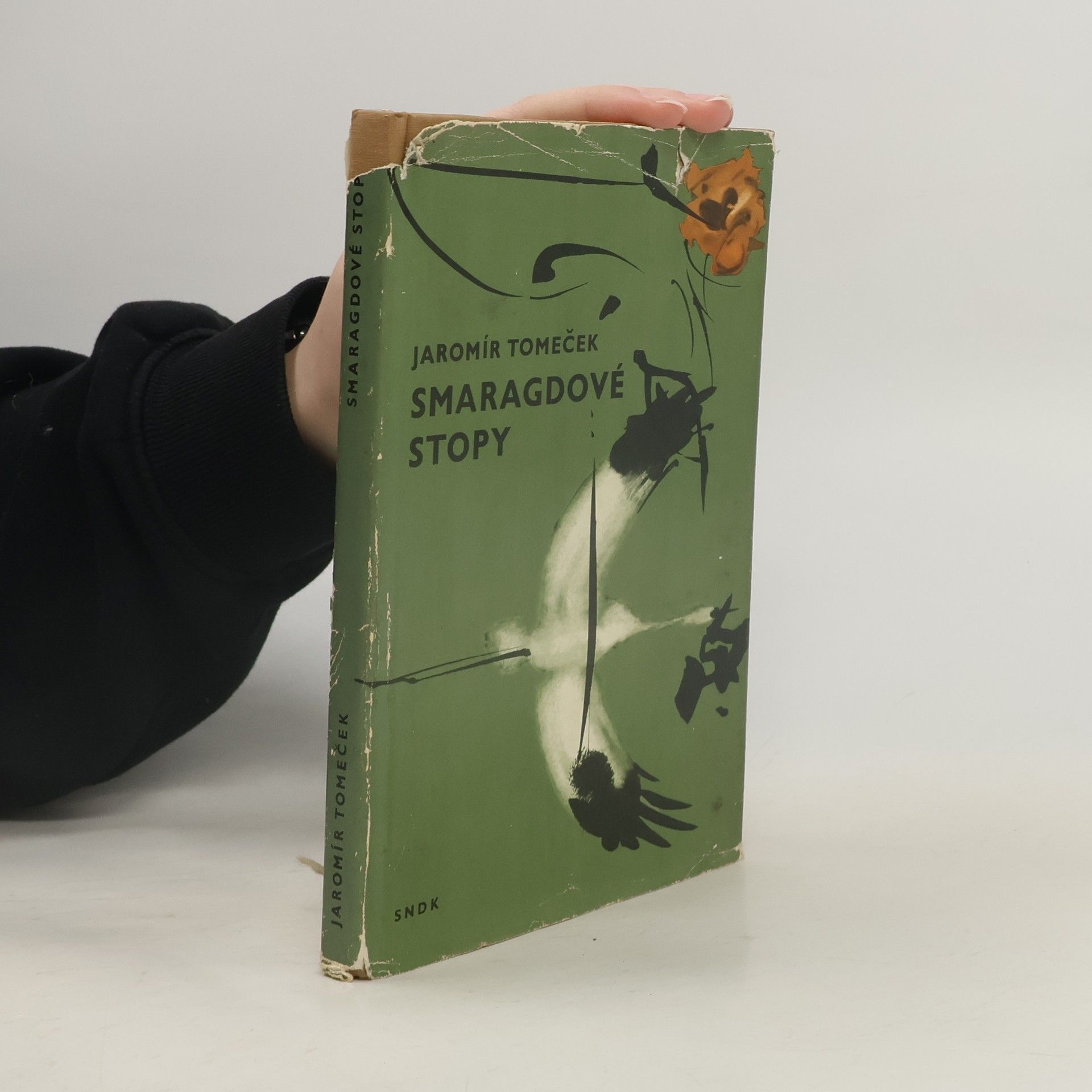 Jaromír Tomeček Smaragdové stopy
