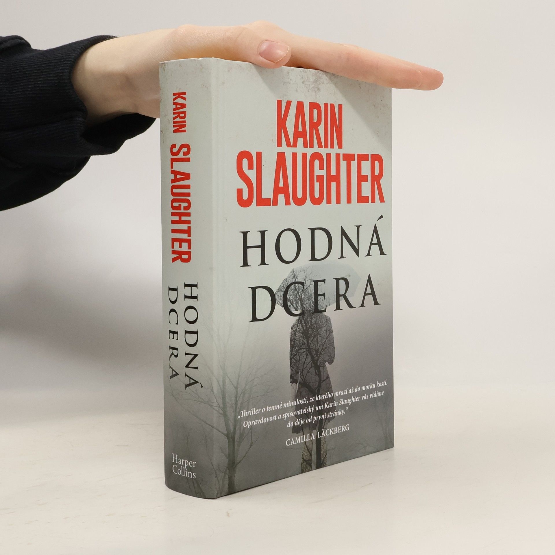 Karin Slaughter Hodná dcera